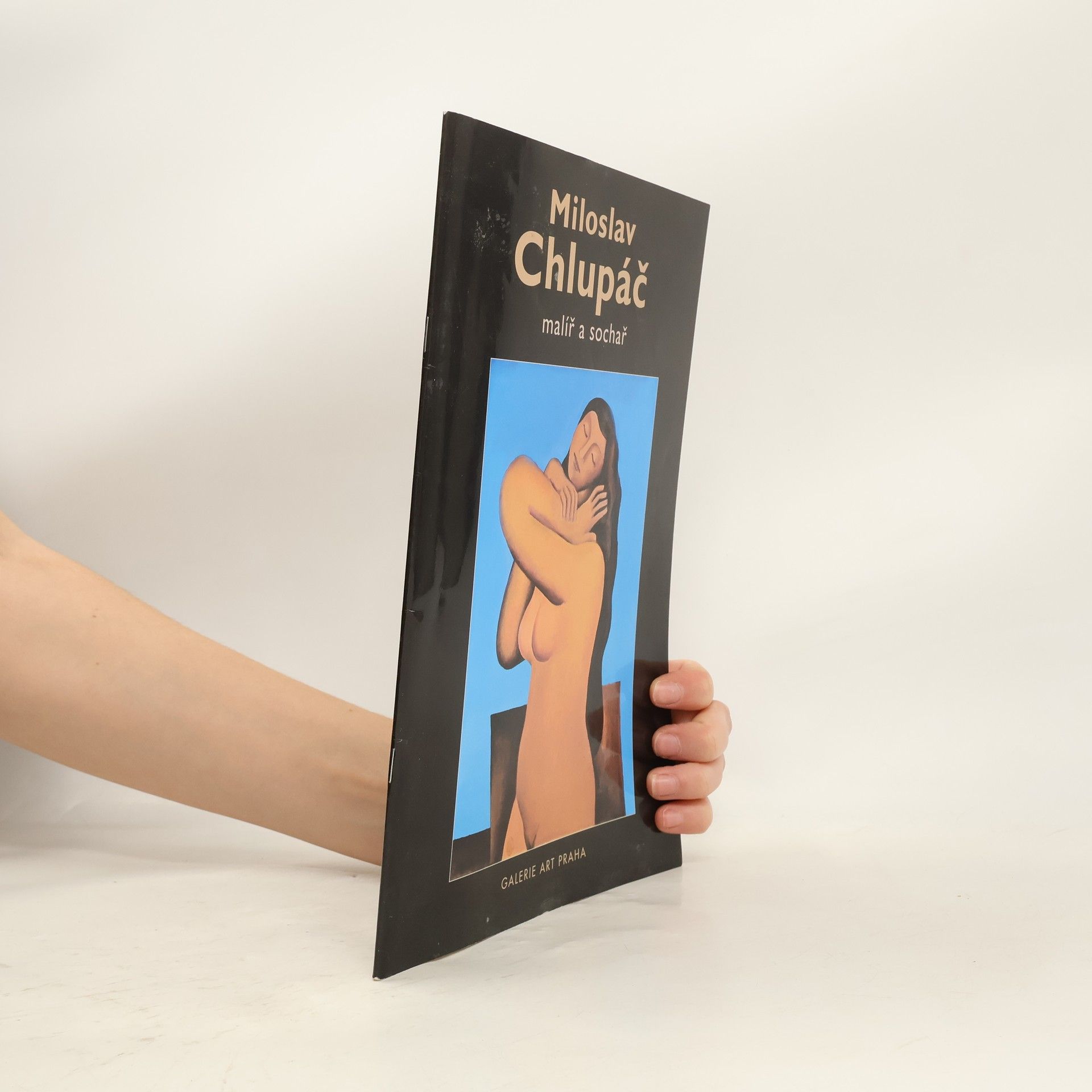 Auteurscollectief Miloslav Chlupáč : malíř a sochař