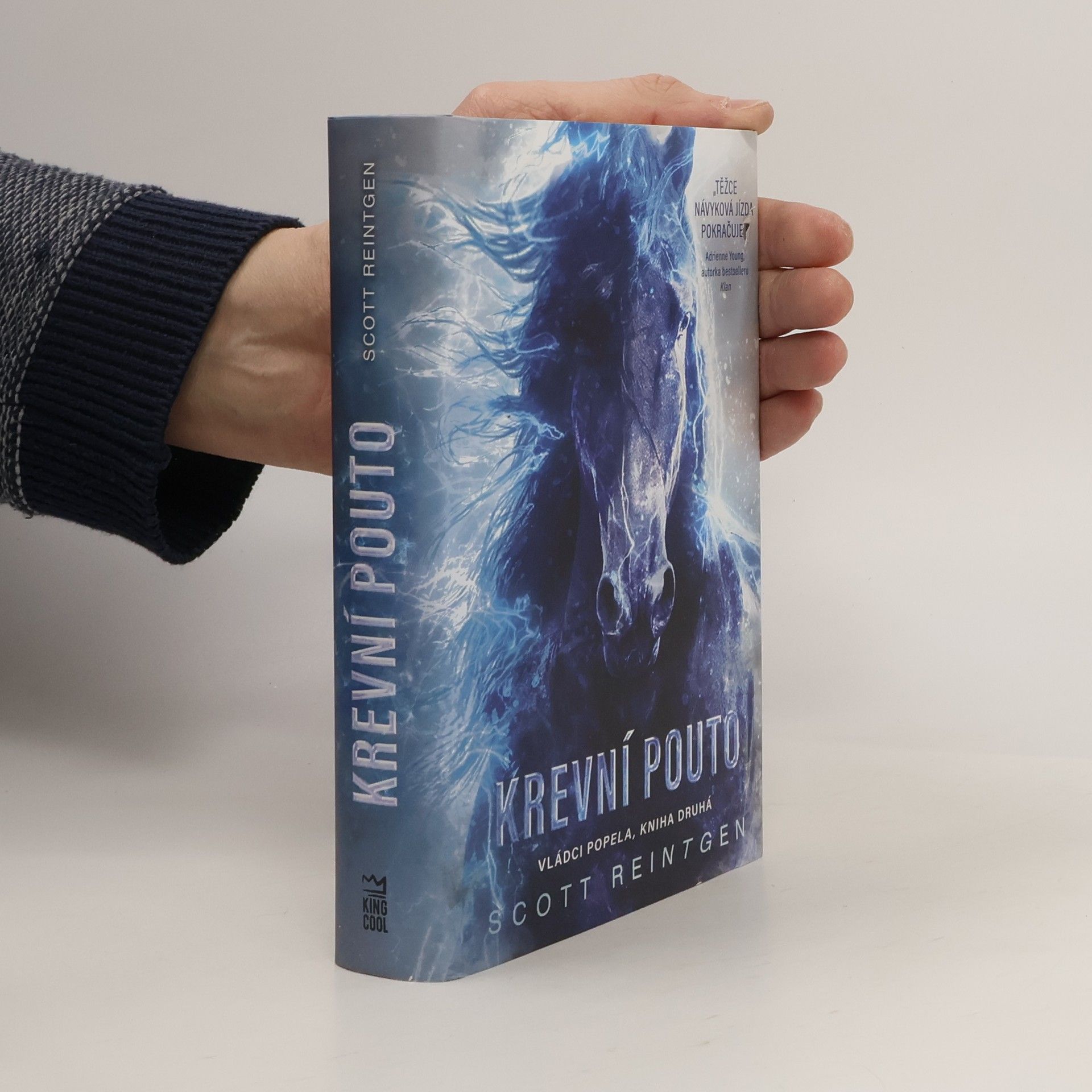 Scott Reintgen Vládci popela. Kniha druhá, Krevní pouto