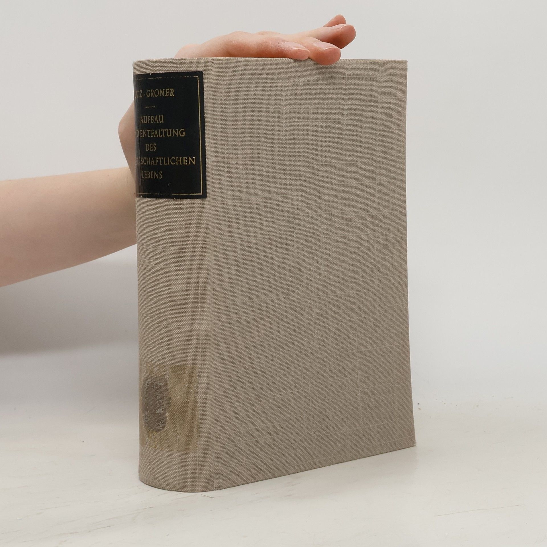 Aufbau und Entfaltung des gesellschaftlichen Lebens