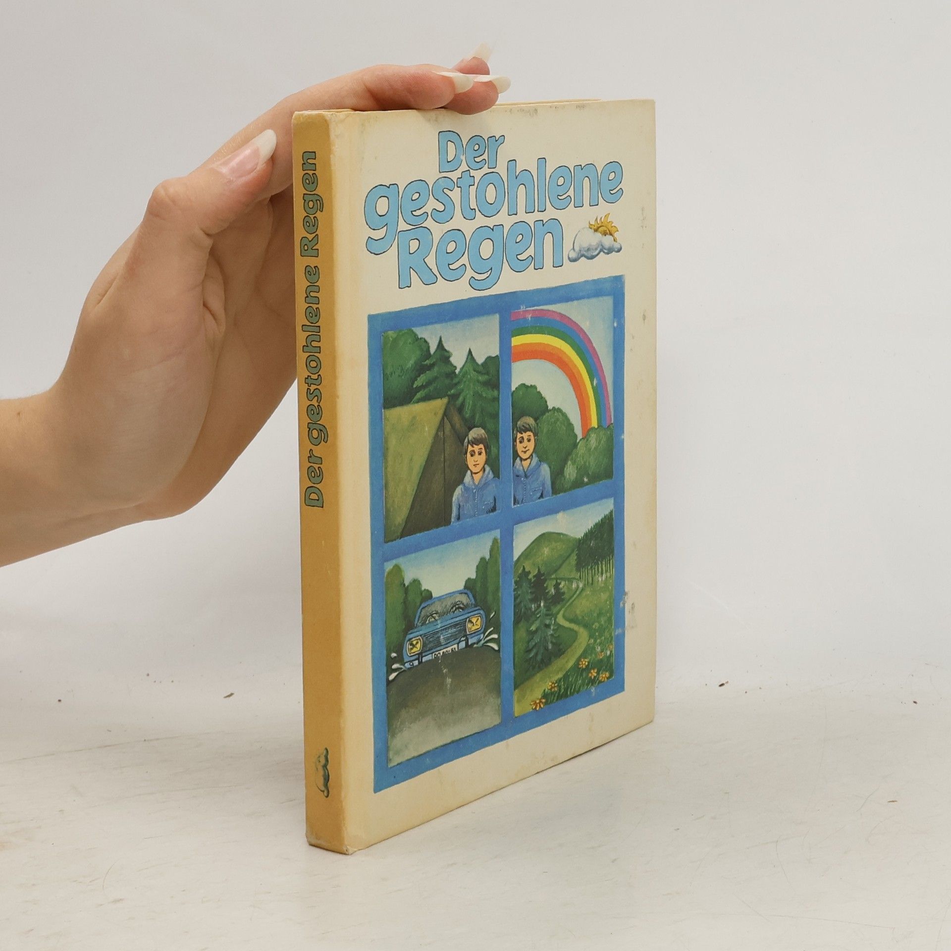 Collectif d'auteurs Der gestohlene Regen