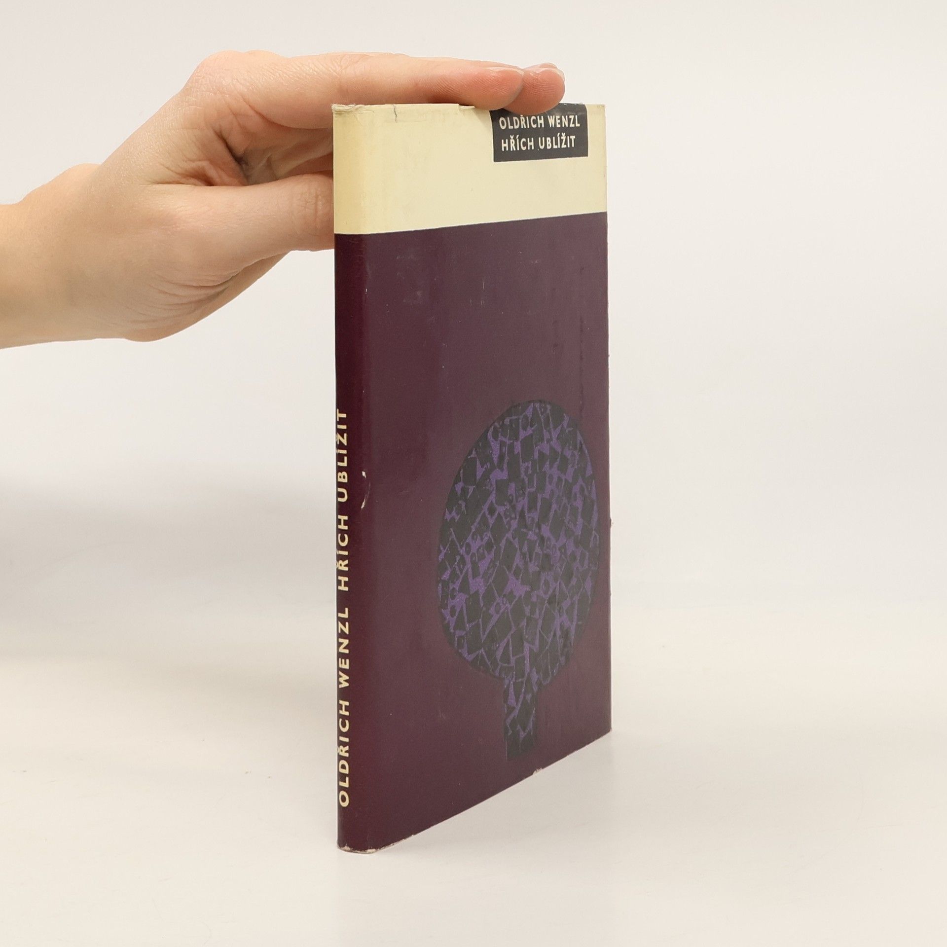 Oldřich Wenzl Hřích ublížit