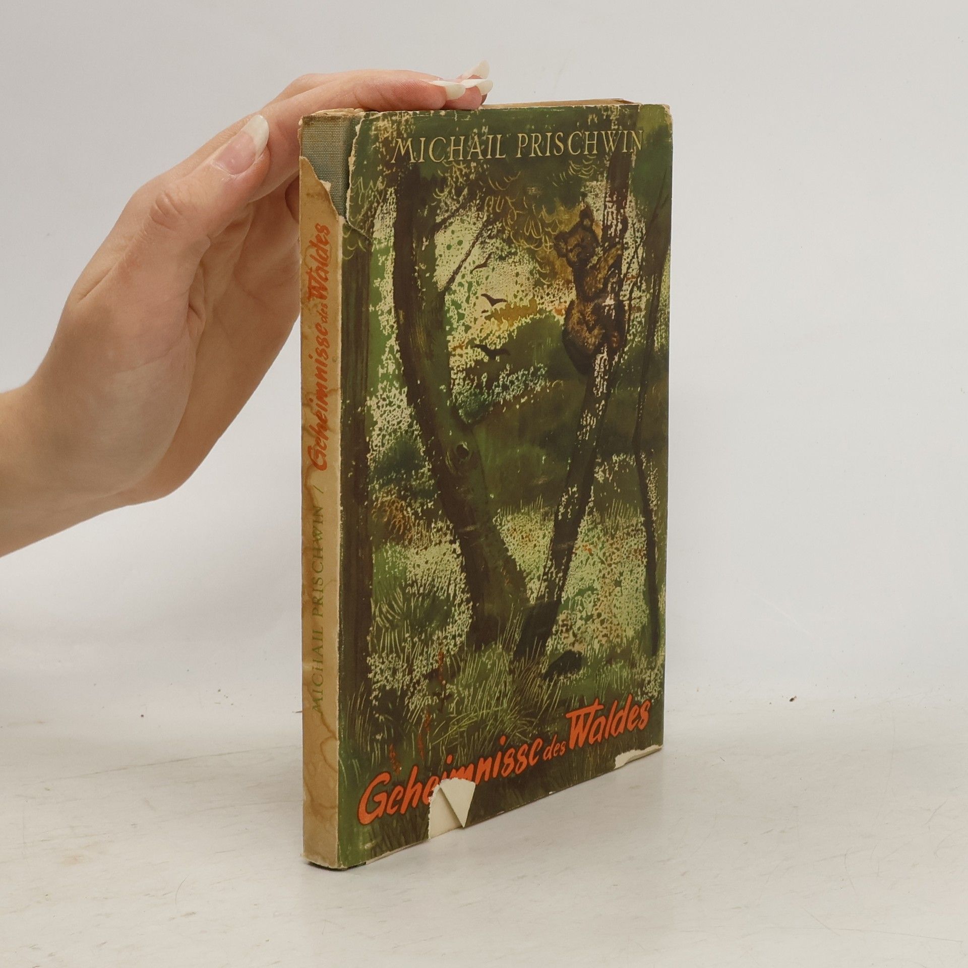 Michail Michajlovič Prišvin Geheimnisse des Waldes