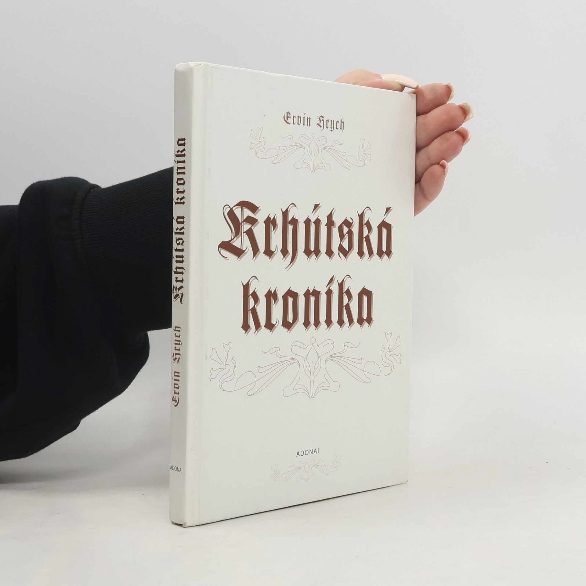 Ervín Hrych Krhútská kronika