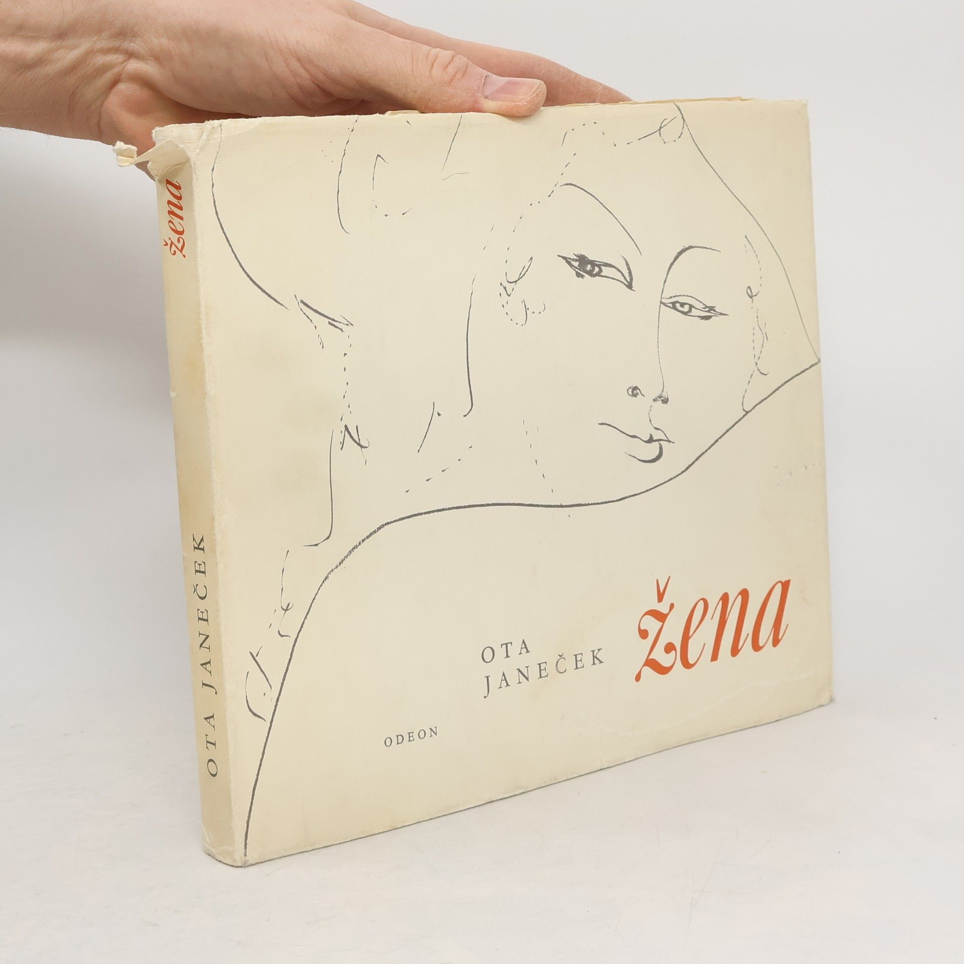 Ota Janeček: Žena