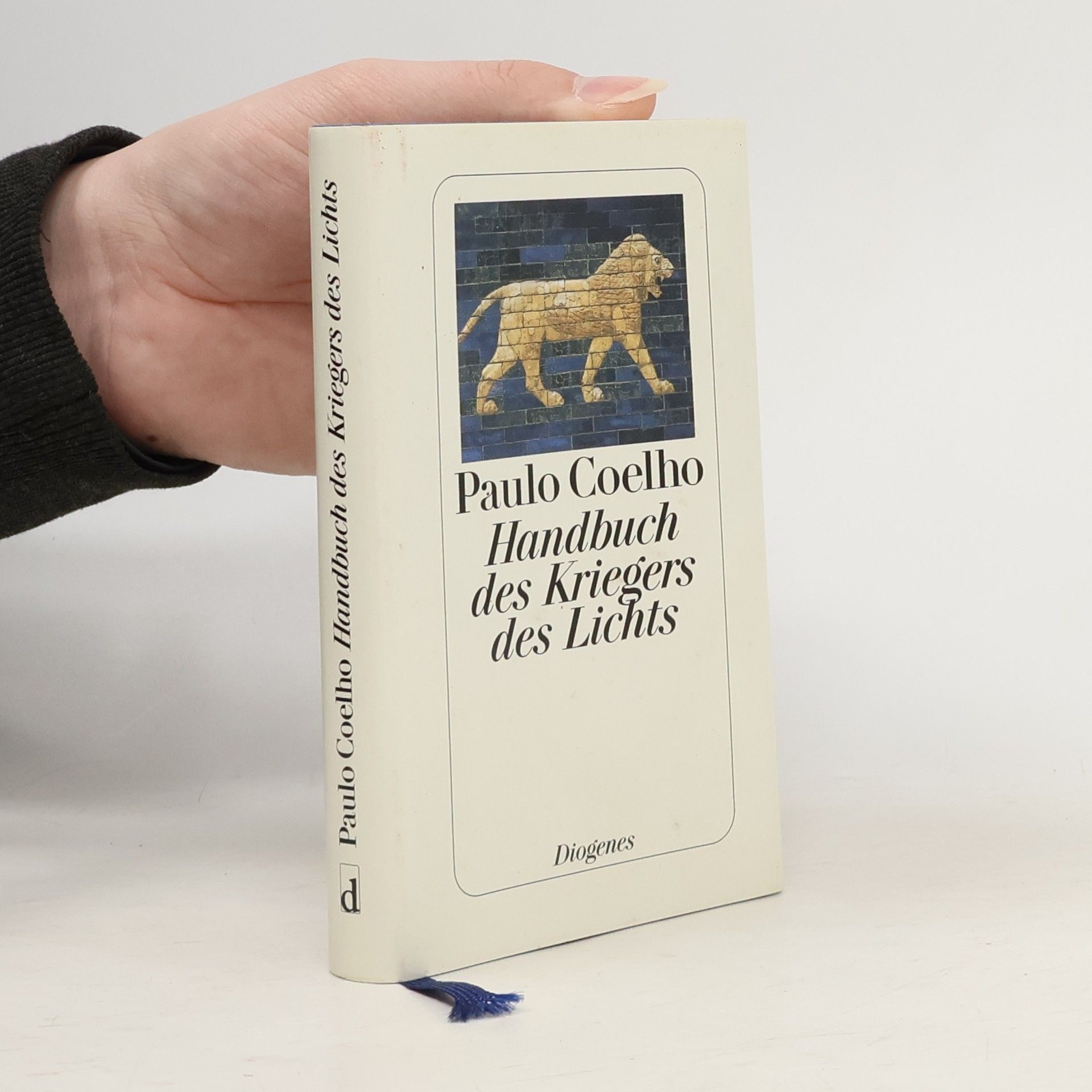 Paulo Coelho Handbuch des Kriegers des Lichts