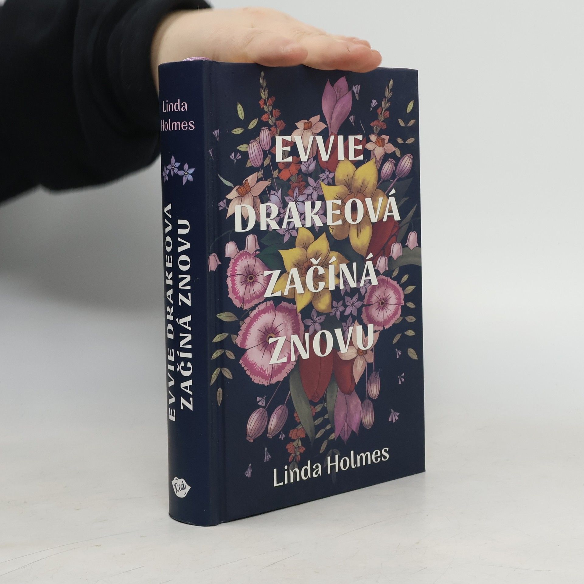 Linda Holmes Evvie Drakeová začíná znovu