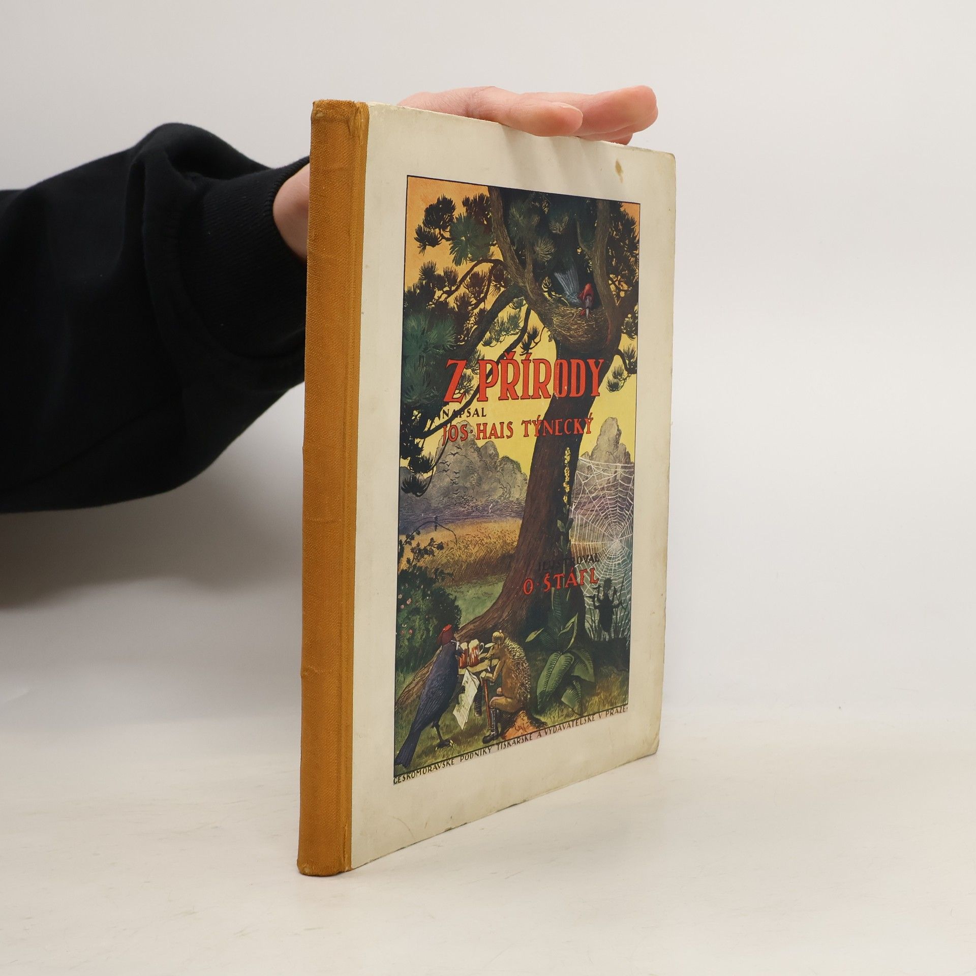 Josef Hais Týnecký Z přírody