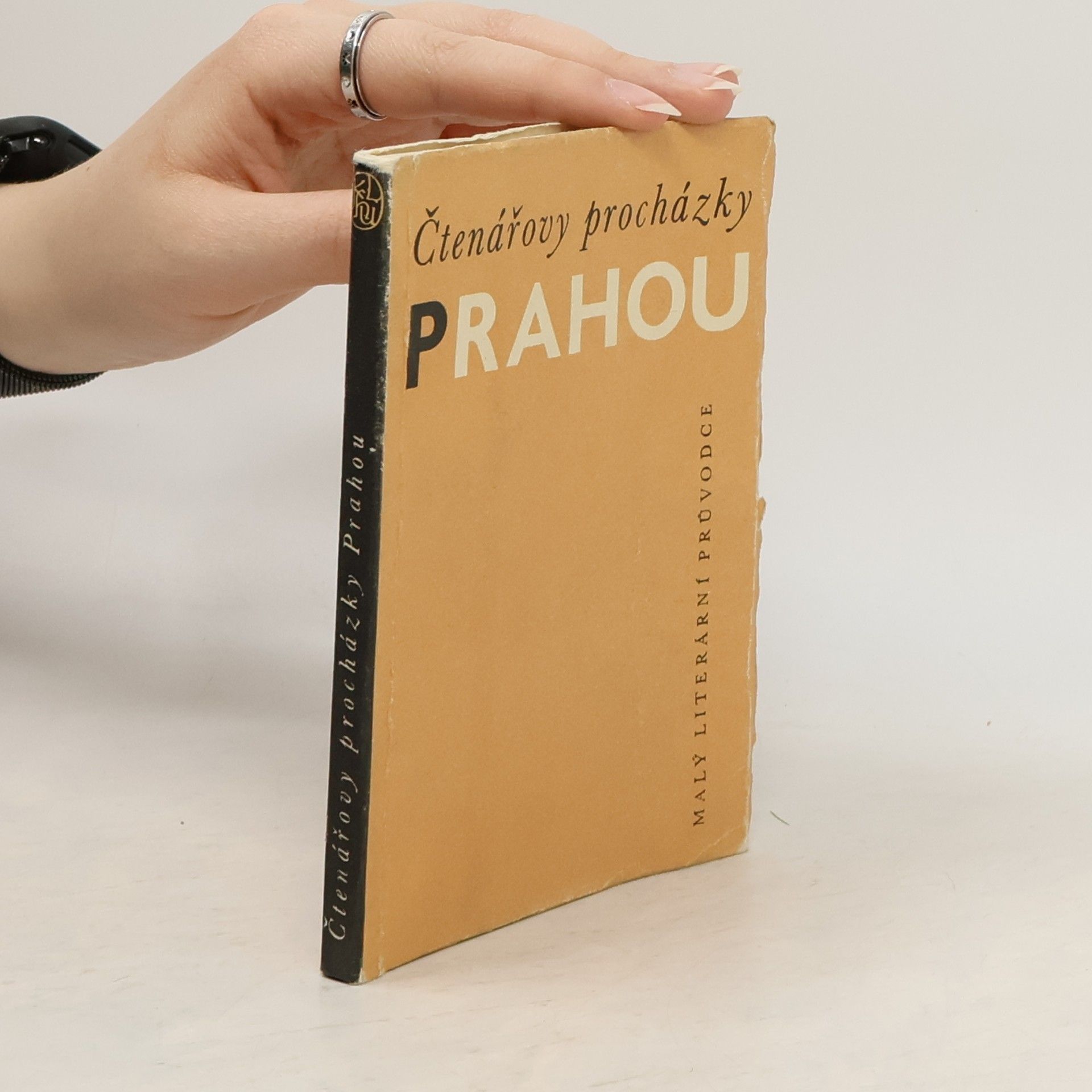 Rudolf Lužík Čtenářovy procházky Prahou