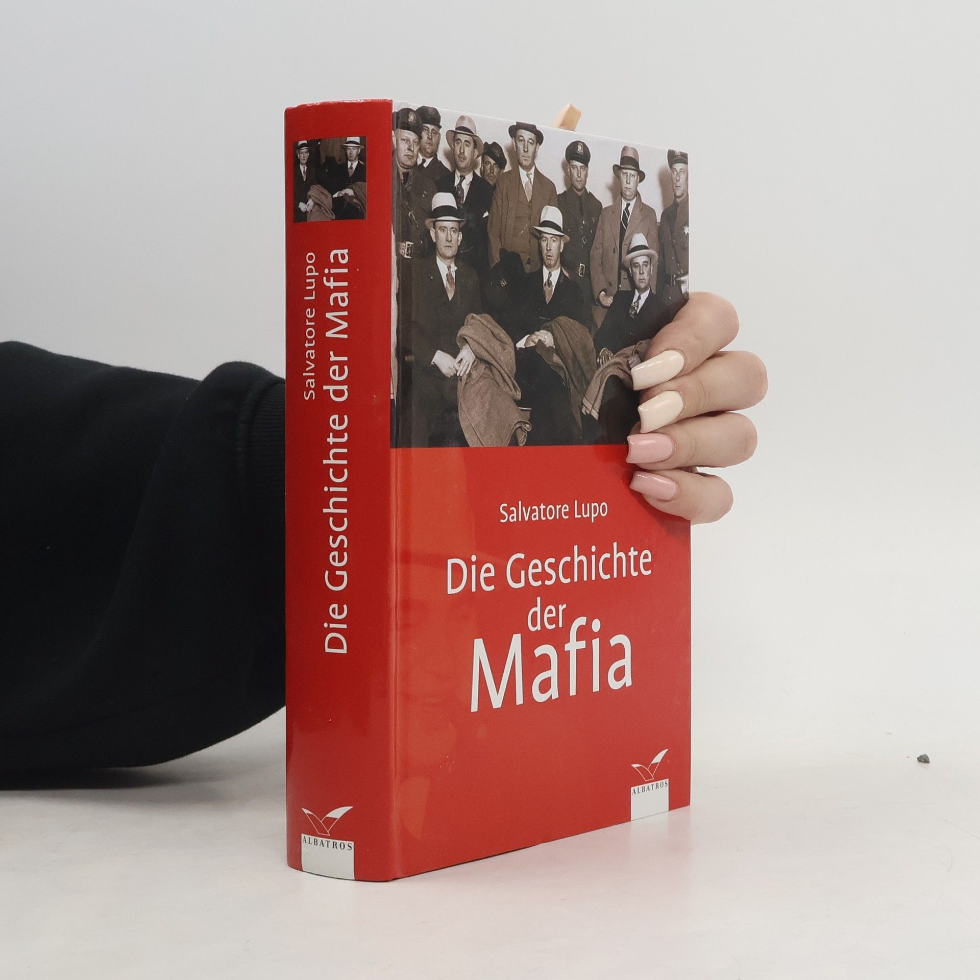 Salvatore Lupo Die Geschichte der Mafia