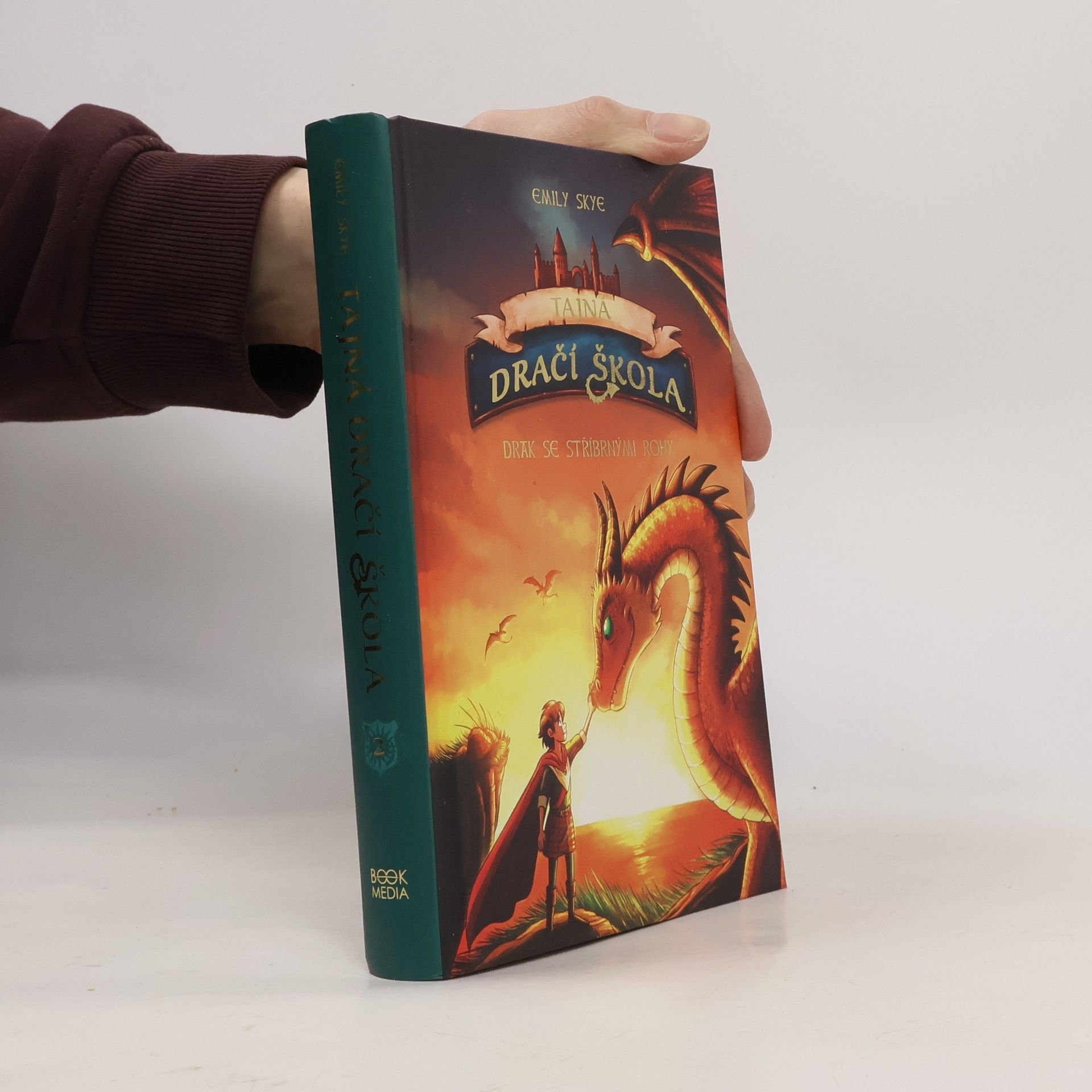 Emily Skye Tajná dračí škola: Drak se stříbrnými rohy