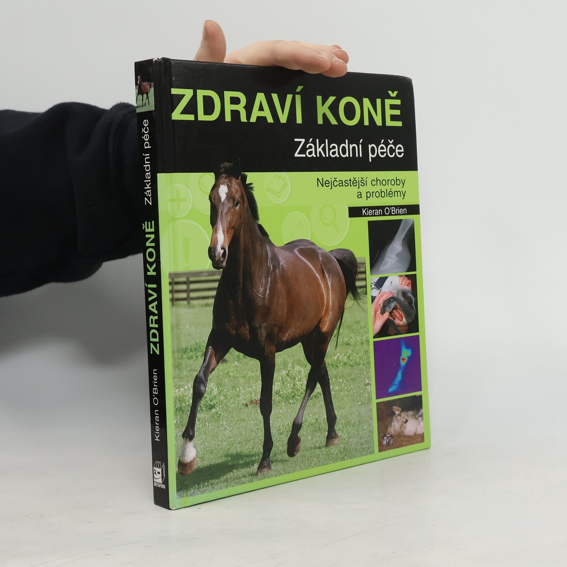 Kieran O. Brien Zdraví koně