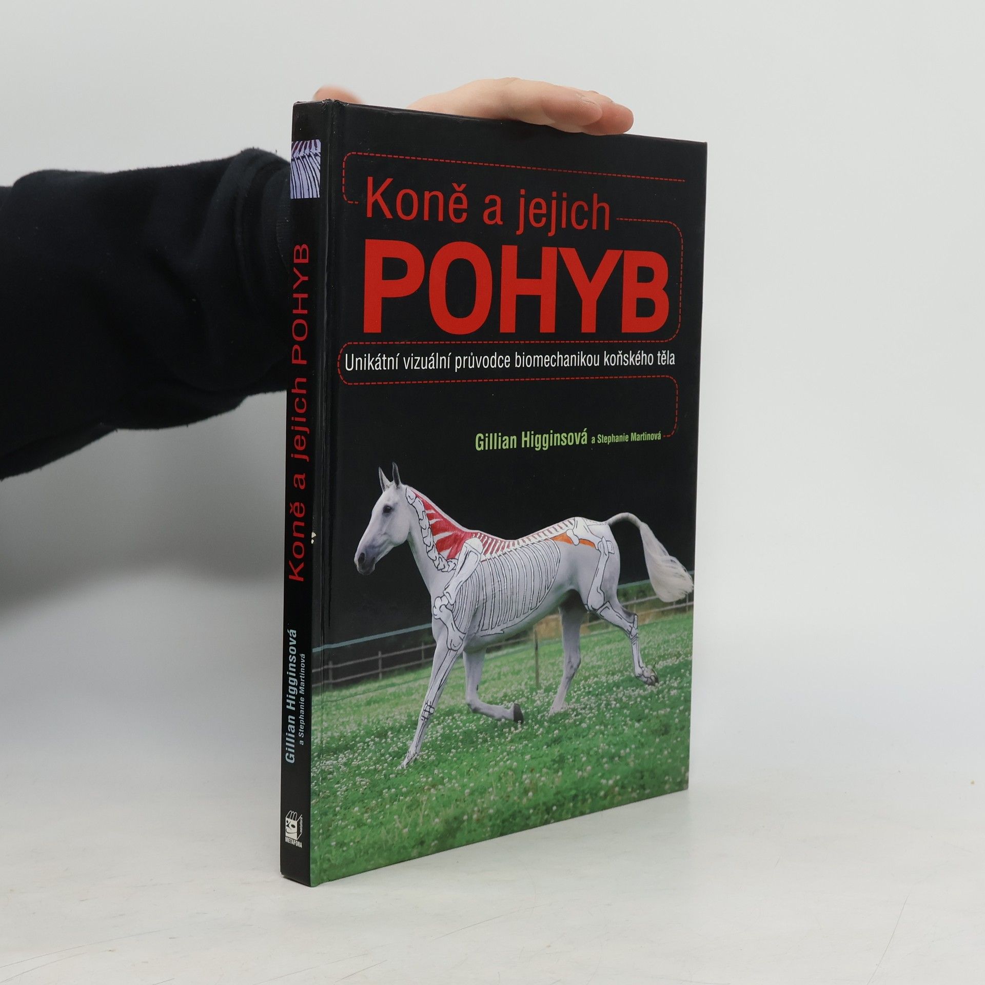 Gillian Higgins Koně a jejich pohyb