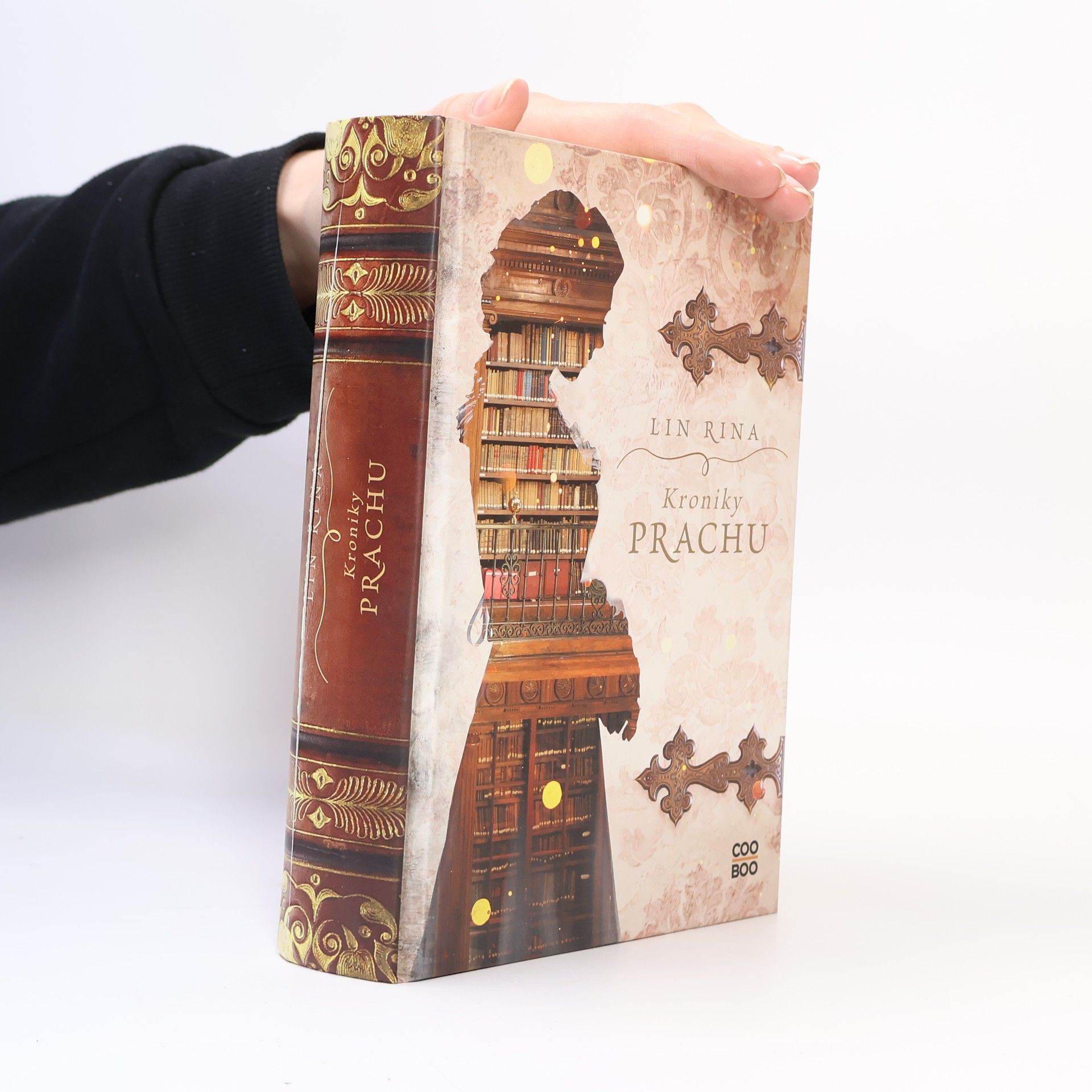 Lin Rina Kroniky prachu