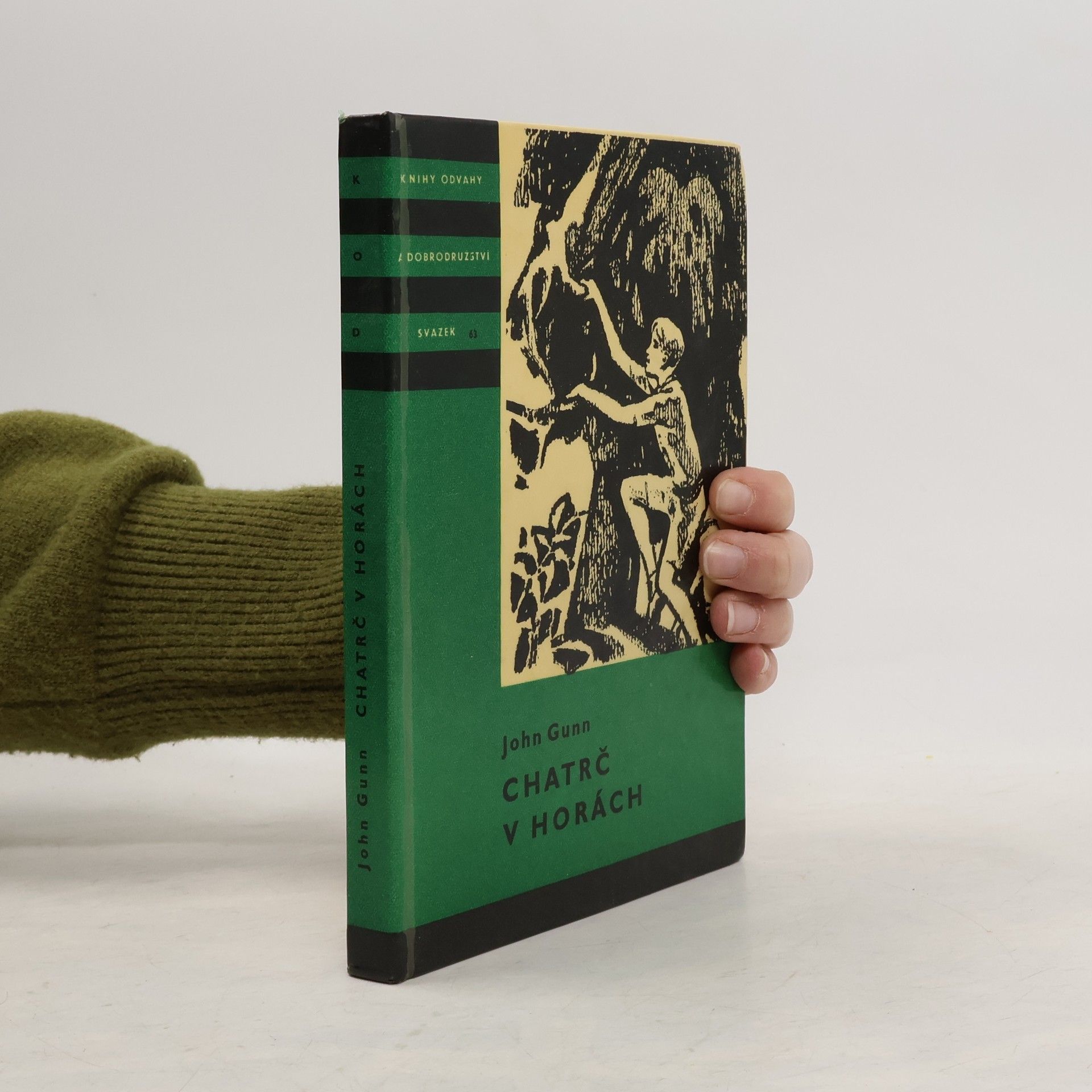 John Gunn Chatrč v horách