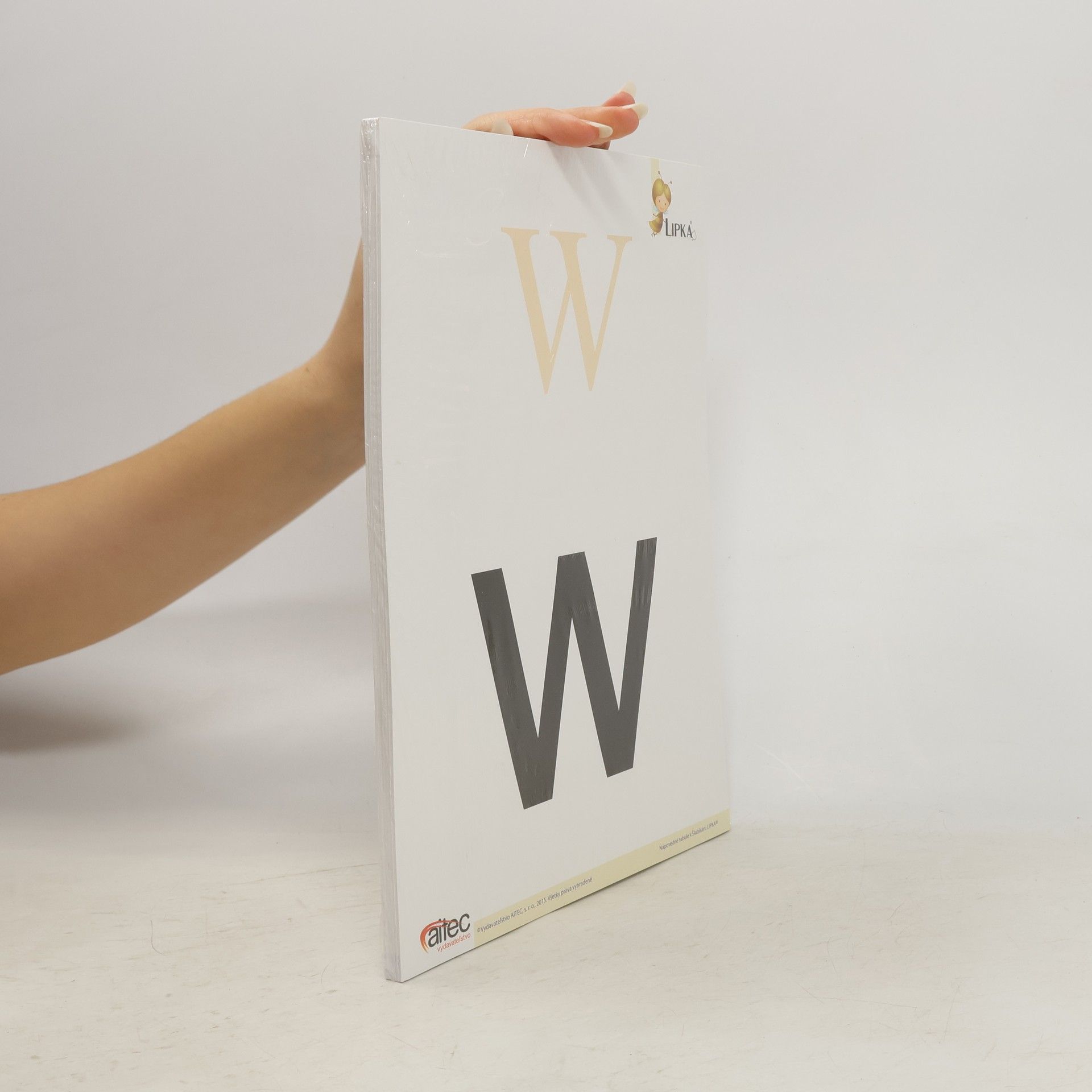 Autorenkollektiv Nápovedné tabule k Šlabikáru LIPKA