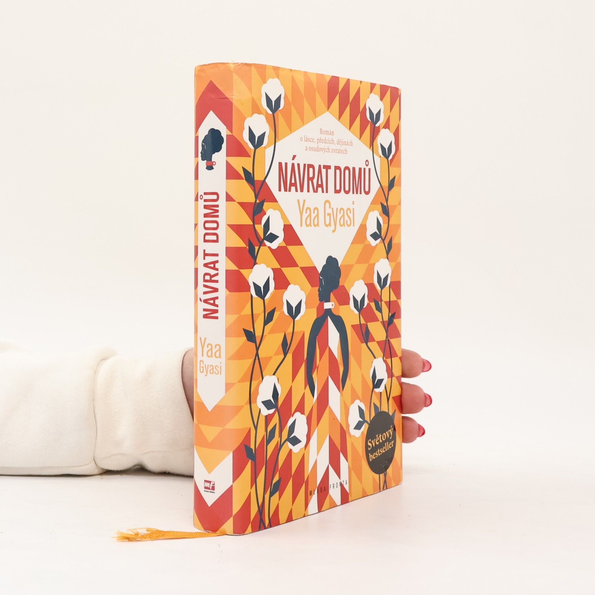 Yaa Gyasi Návrat domů