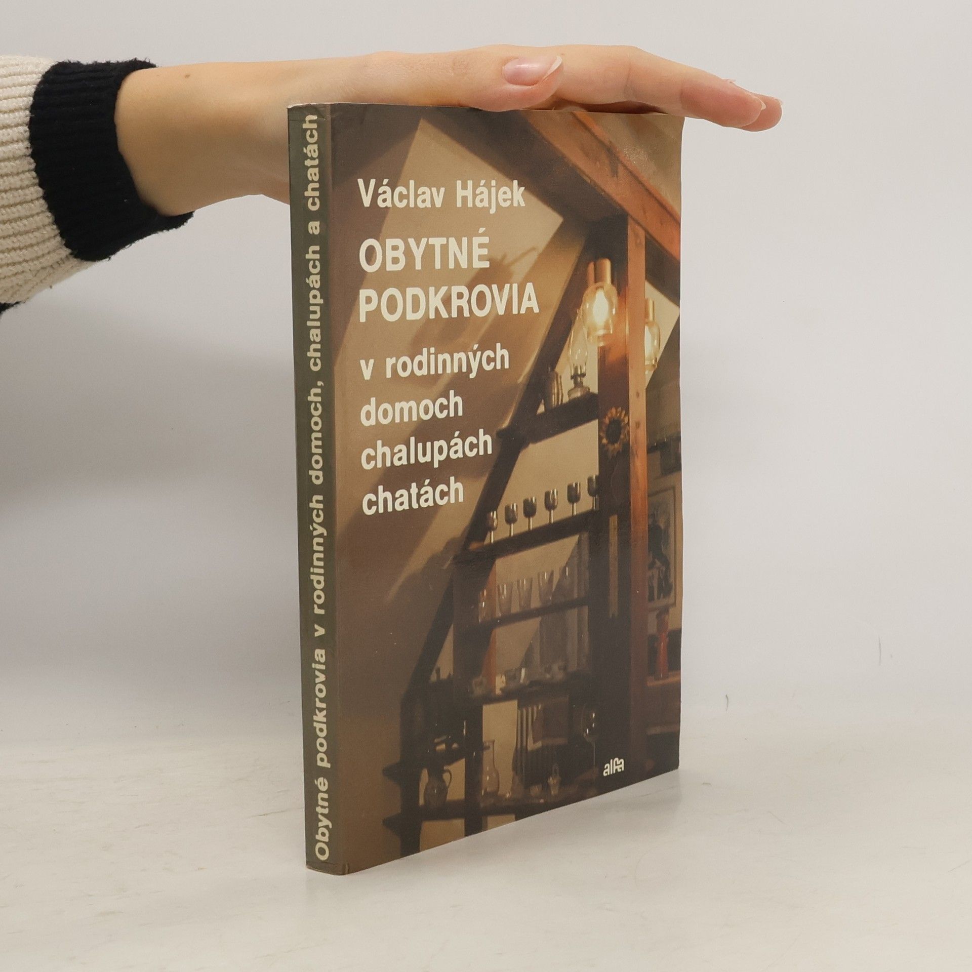 Václav Hájek Obytné podkrovia v rodinných domoch, chalupách a chatách