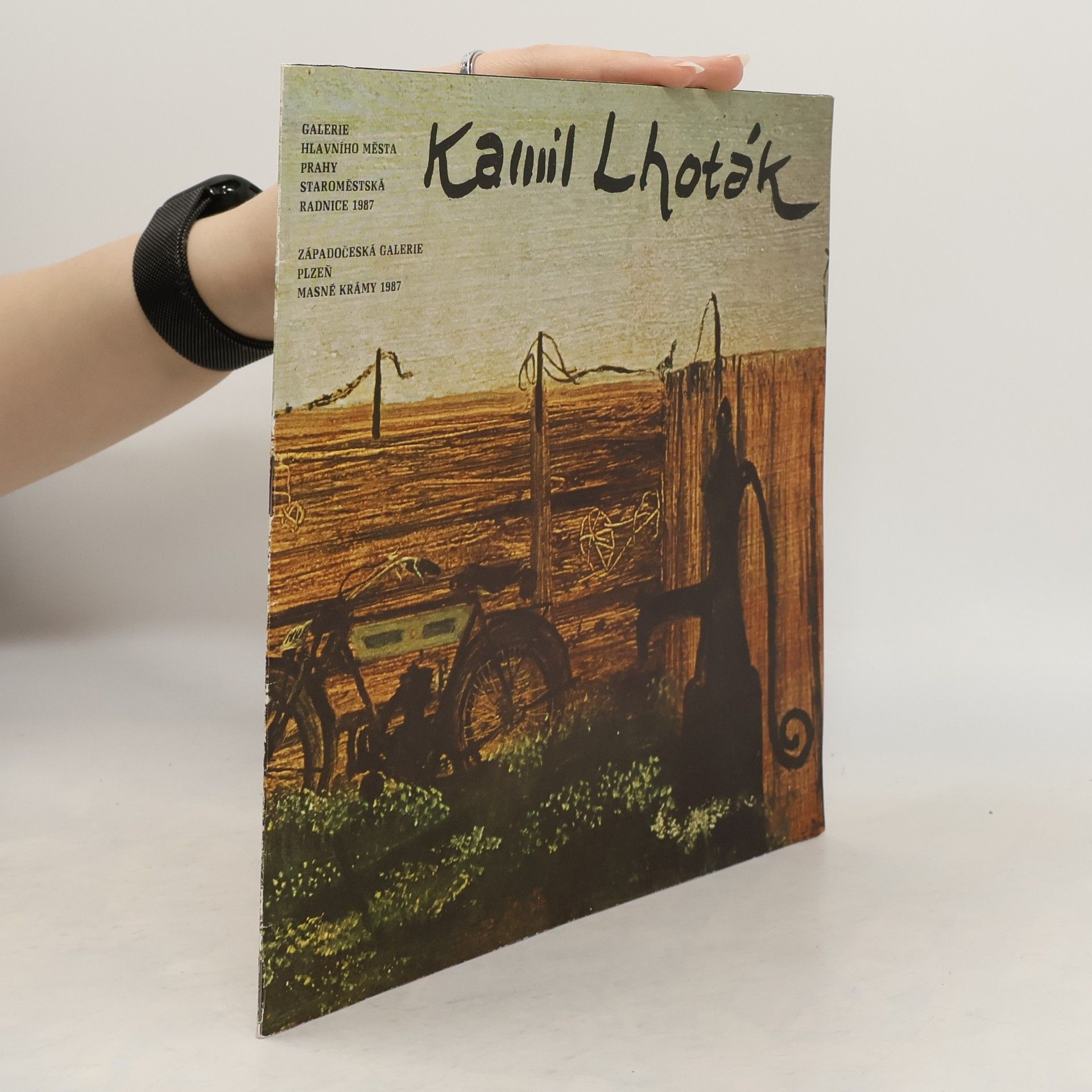 Kolektív autorov Kamil Lhoták