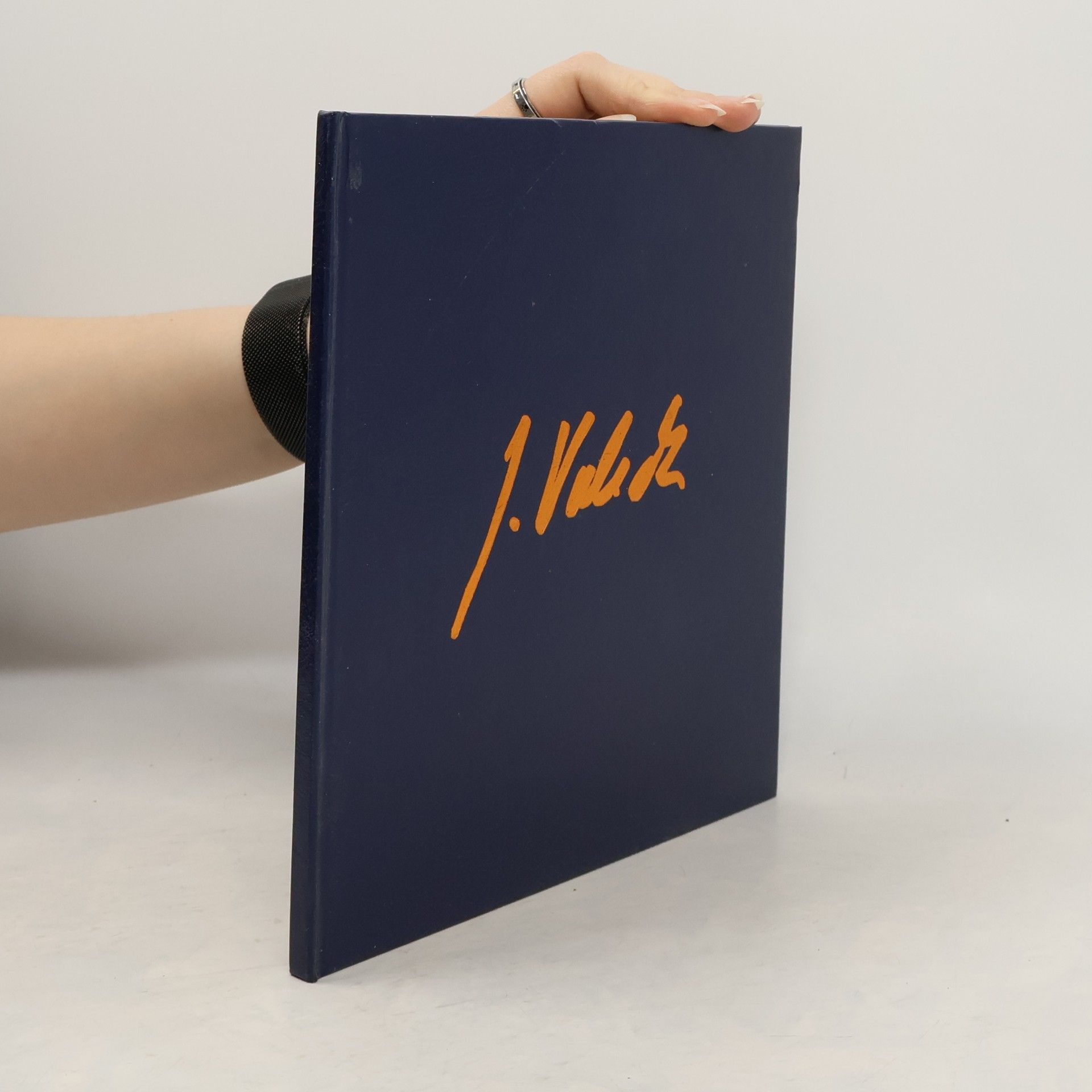 Jaroslav Valečka Obrazy / Paintings