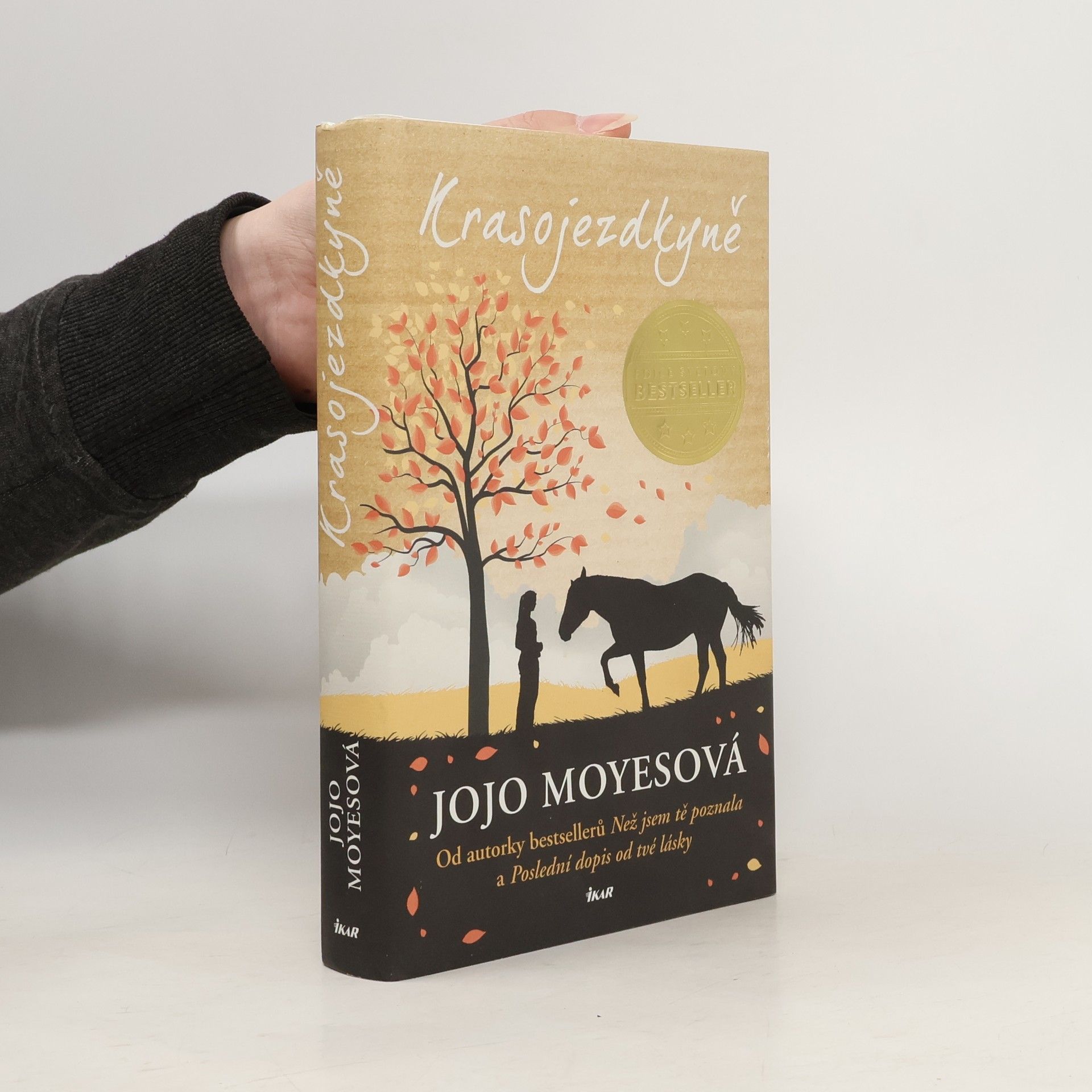 Jojo Moyes Krasojezdkyně