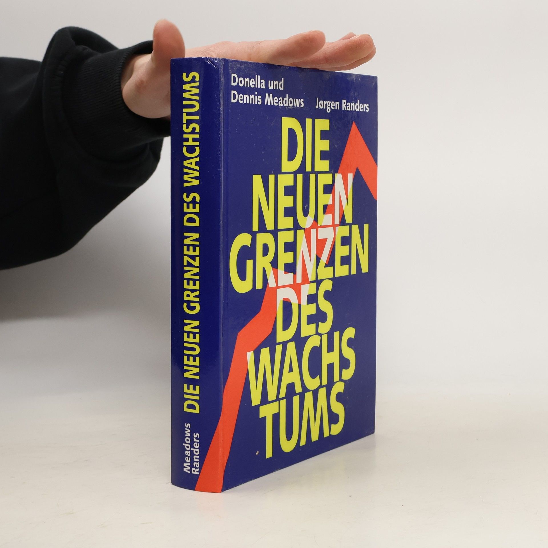 Donella Meadows Die neuen Grenzen des Wachstums