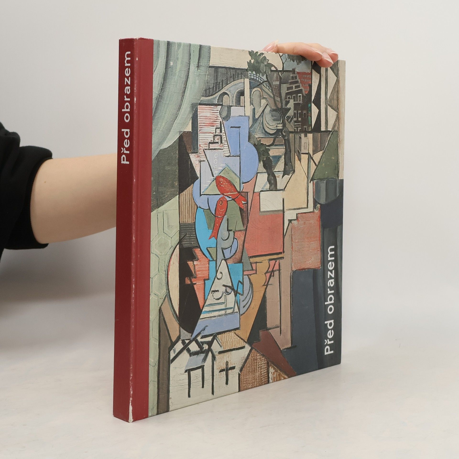 Vendula Vašátková Před obrazem