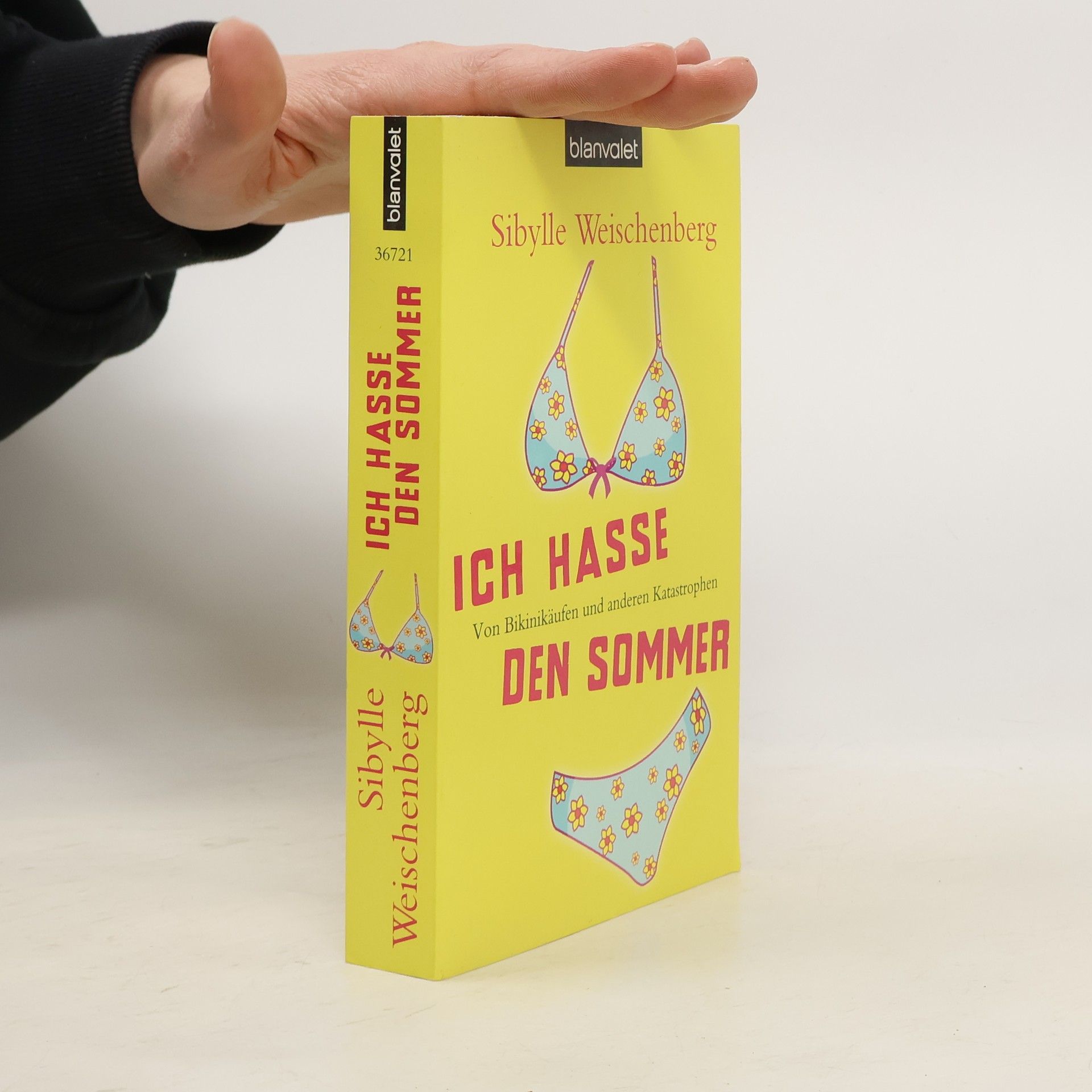 Sibylle Weischenberg Ich hasse den Sommer