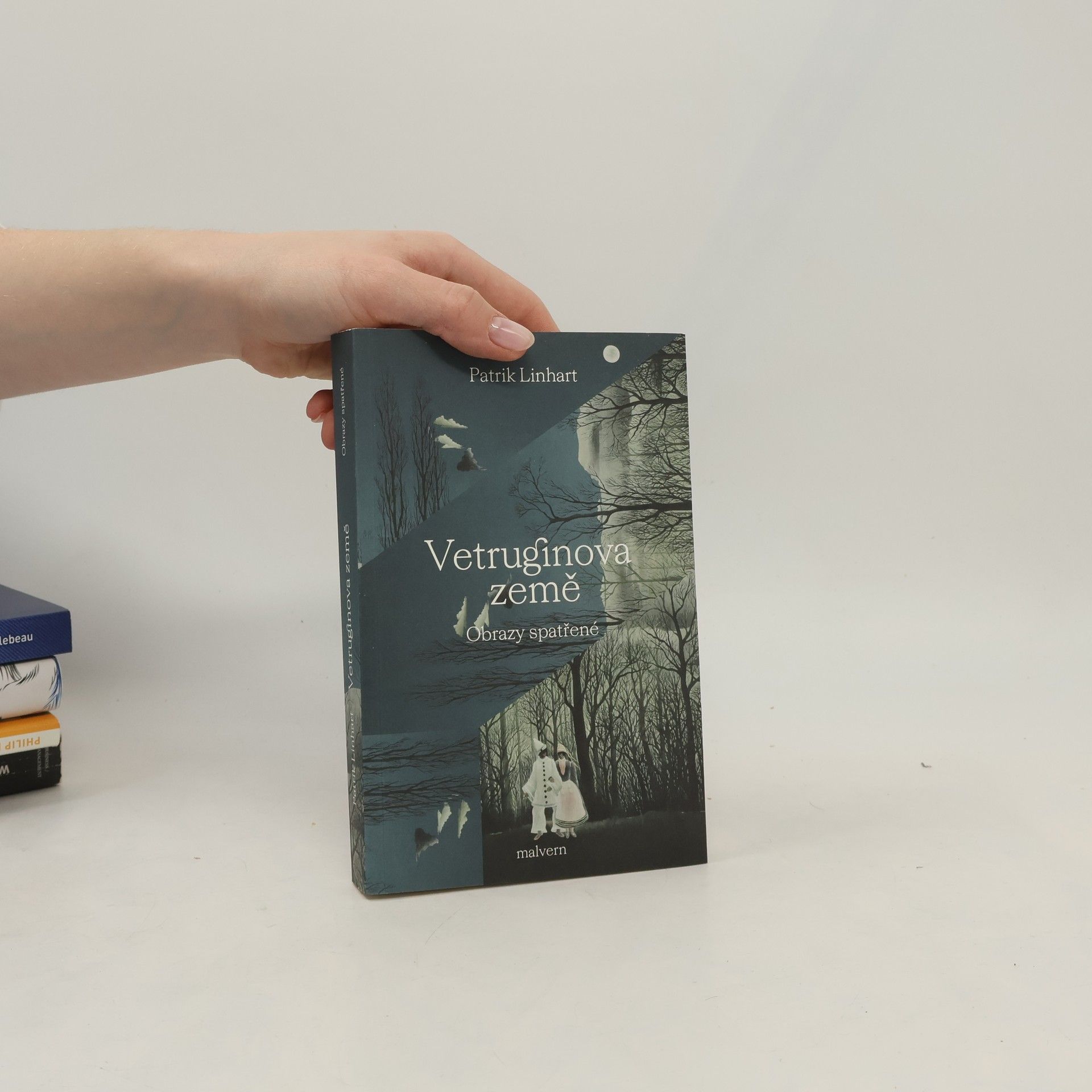 Patrik Linhart Vetruginova země: Obrazy spatřené