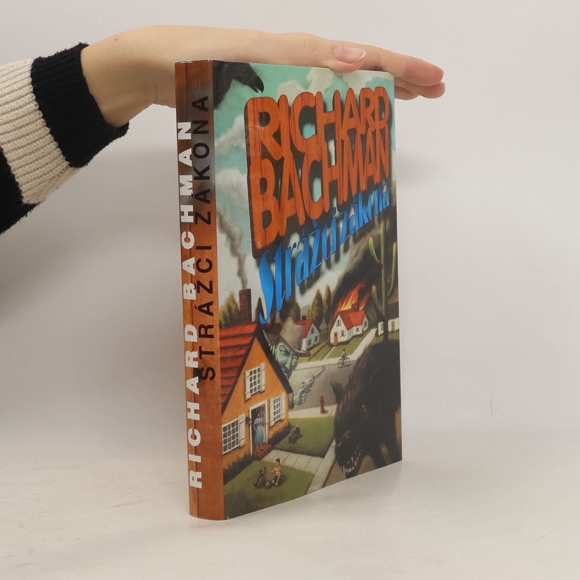 Stephen King Strážci zákona