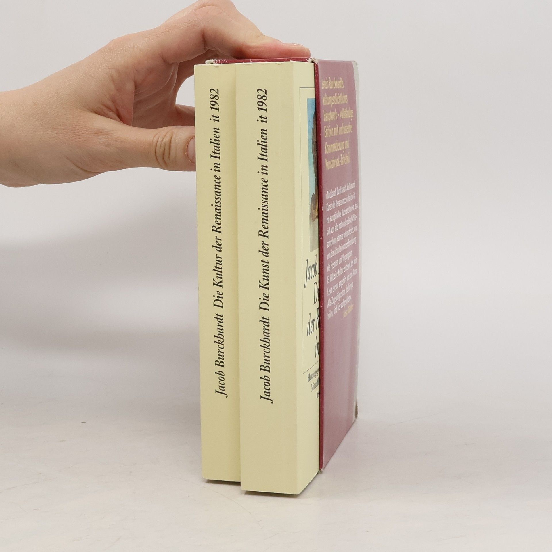 Jacob Christoph Burckhardt Die Kultur der Renaissance in Italien. Die Kunst der Renaissance in Italien