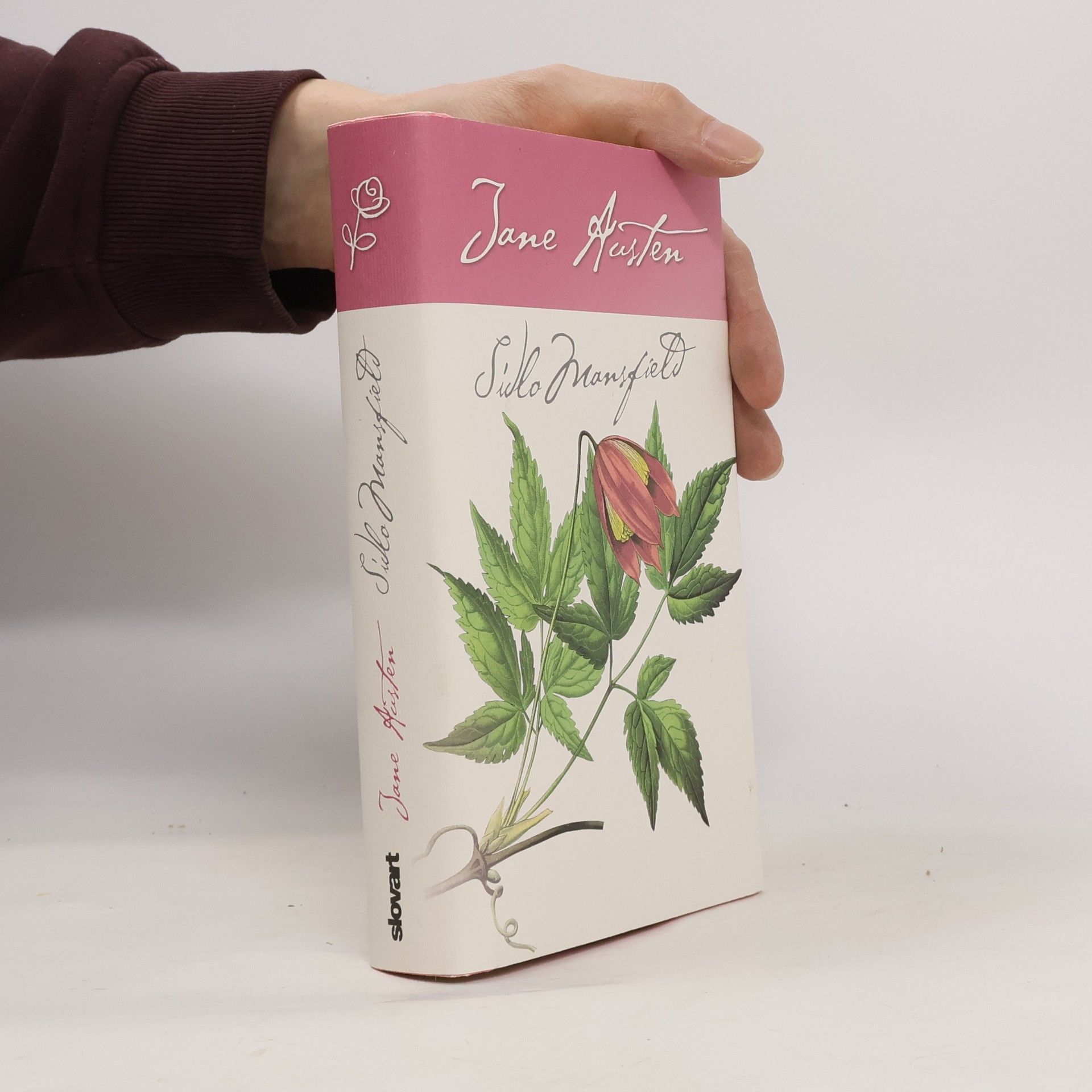 Jane Austen Sídlo Mansfield