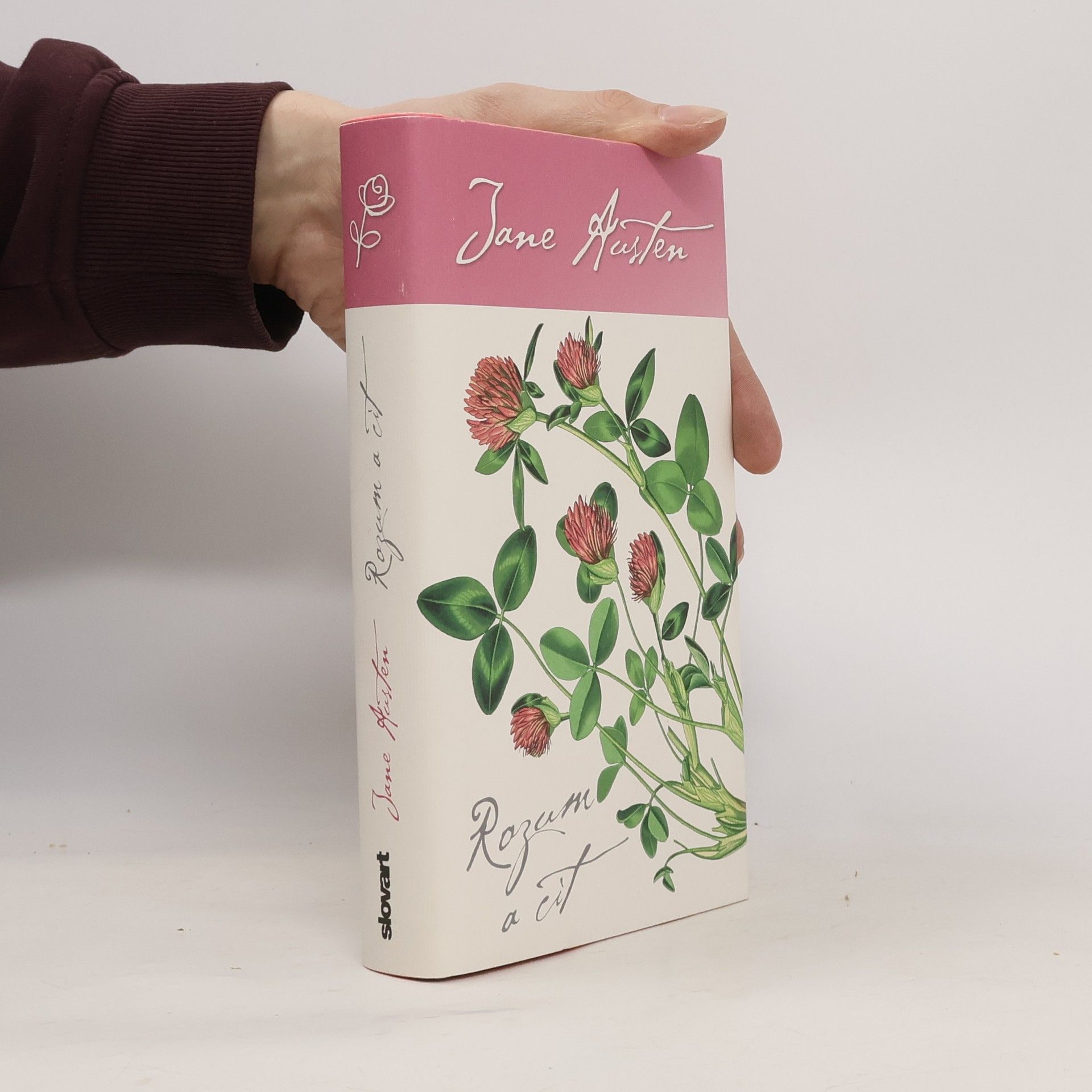 Jane Austen Rozum a cit