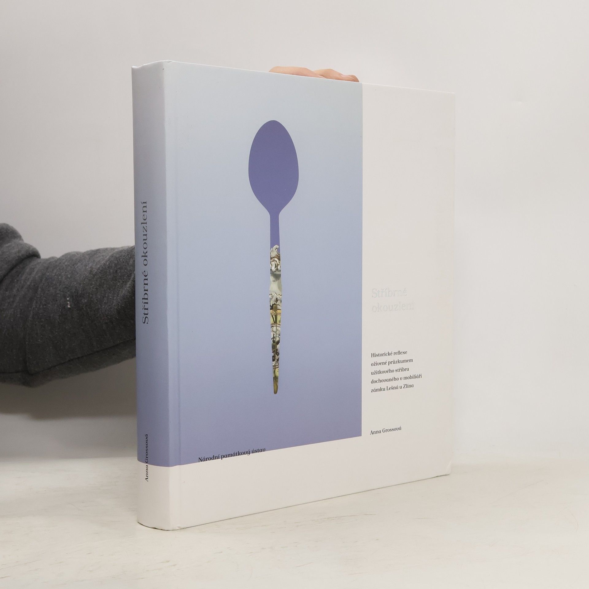 Anna Grossová Stříbrné okouzlení