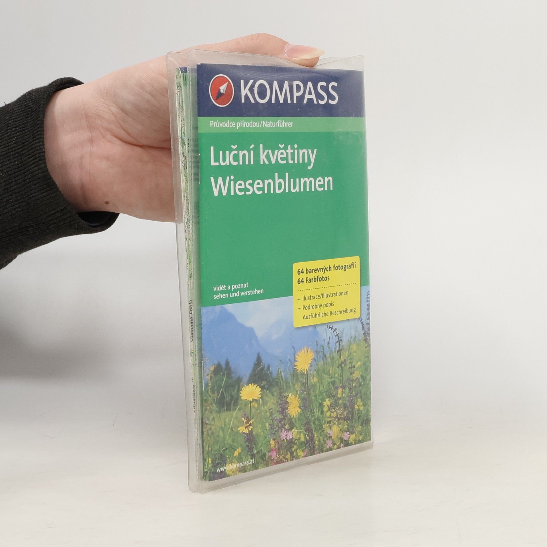 Collectif d'auteurs Luční květiny. Wiesenblumen