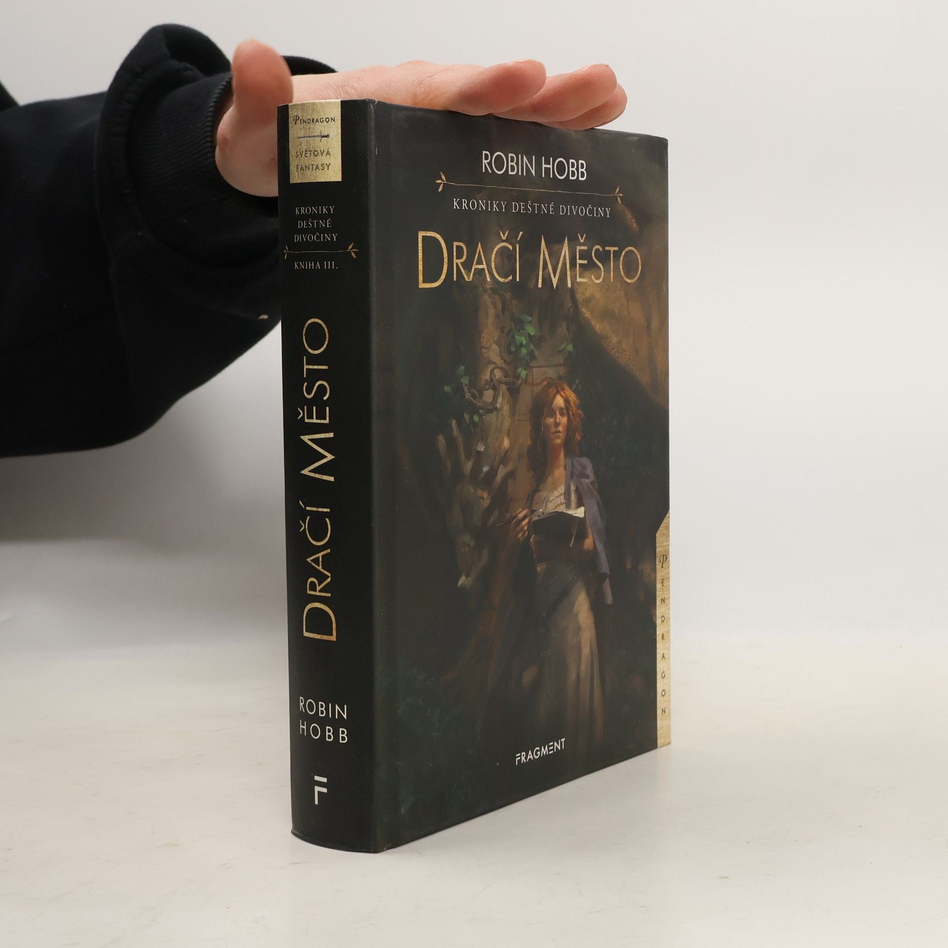 Robin Hobb Dračí město