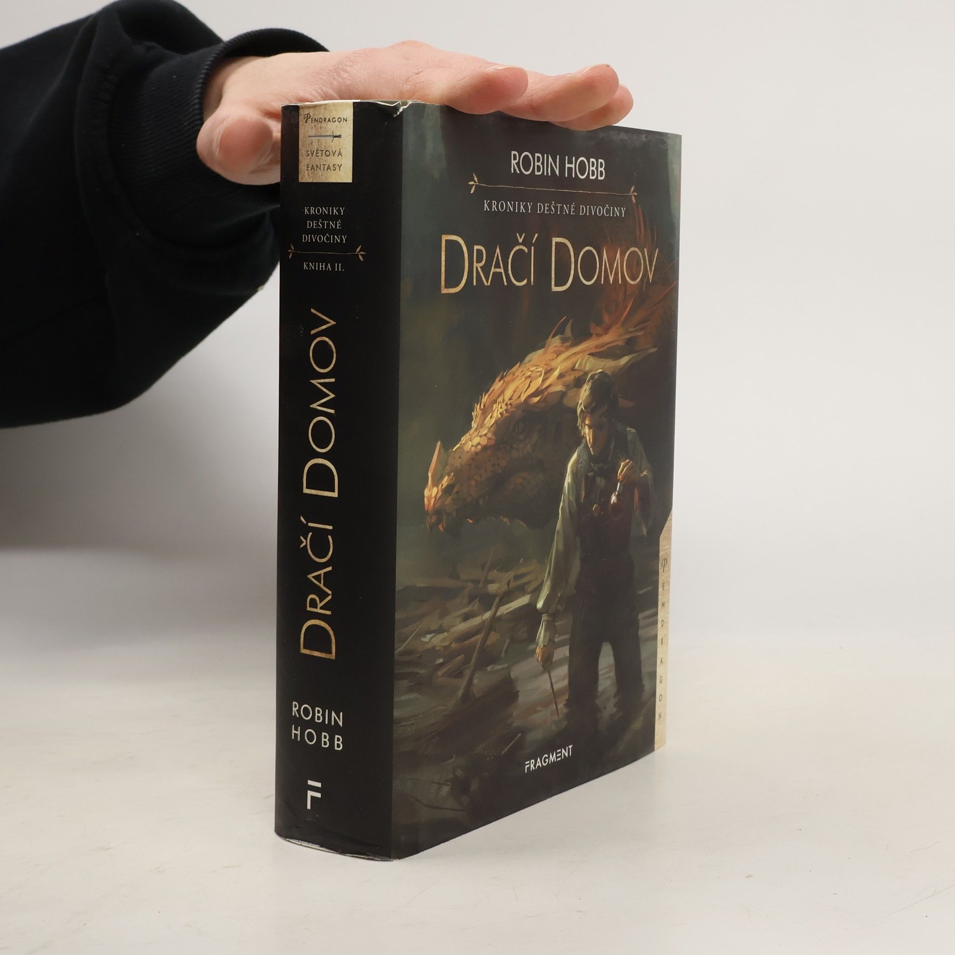 Robin Hobb Dračí domov