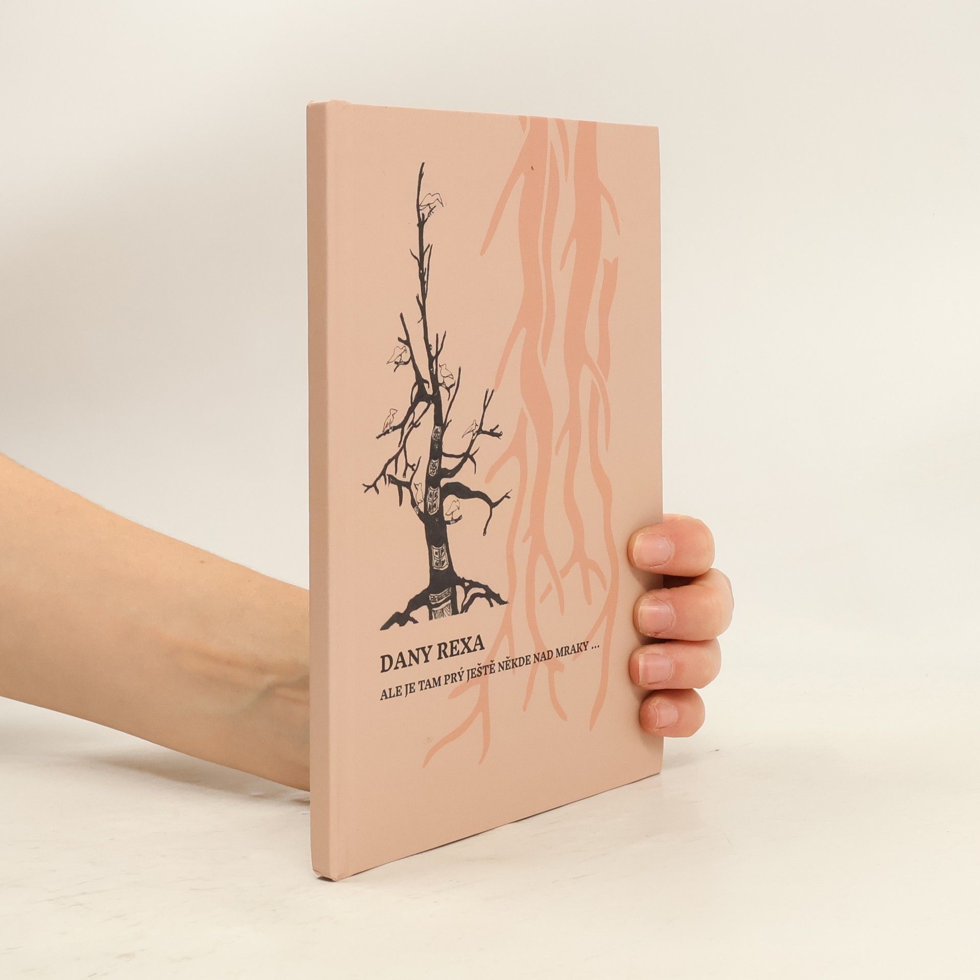 Dany Rexa Ale je tam prý ještě někde nad mraky...