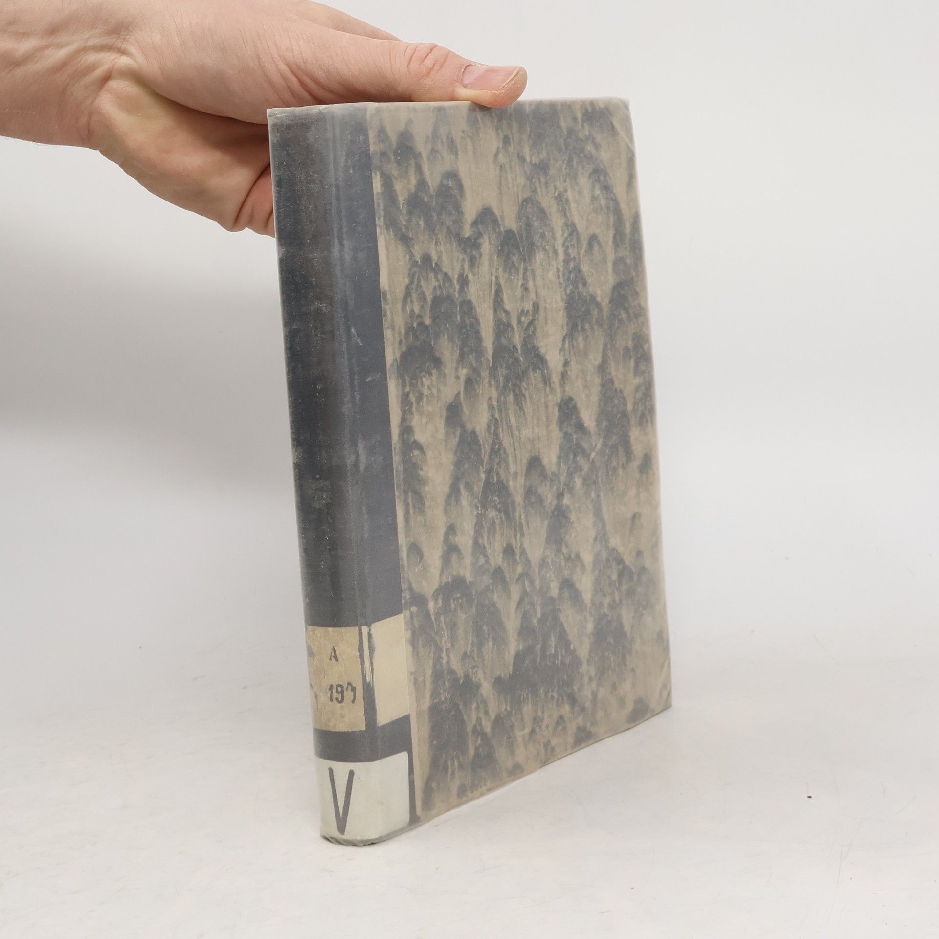 Adolf Veselý Pravěká osada