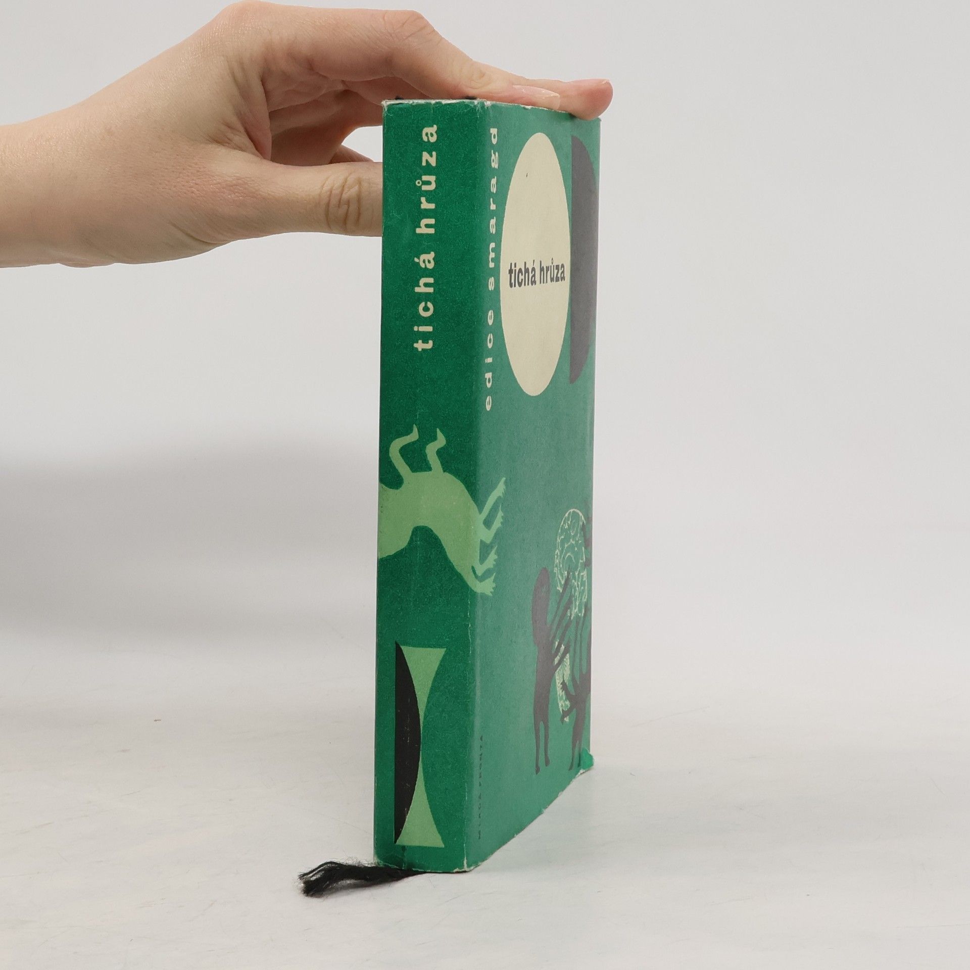 Kolektiv autorů Tichá hrůza