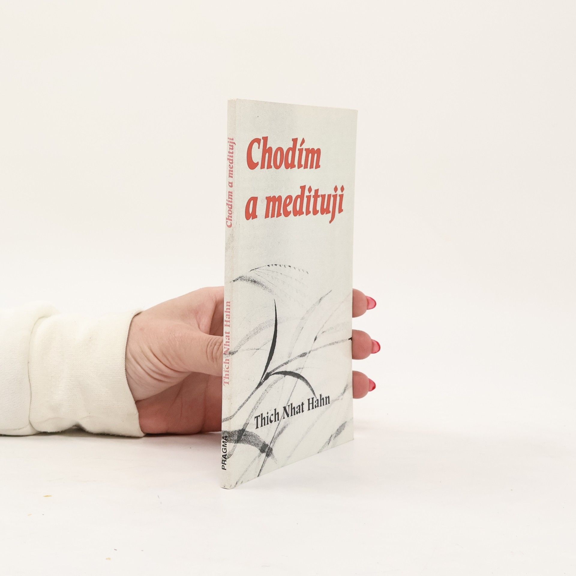 Thích Nhất Hạnh Chodím a medituji