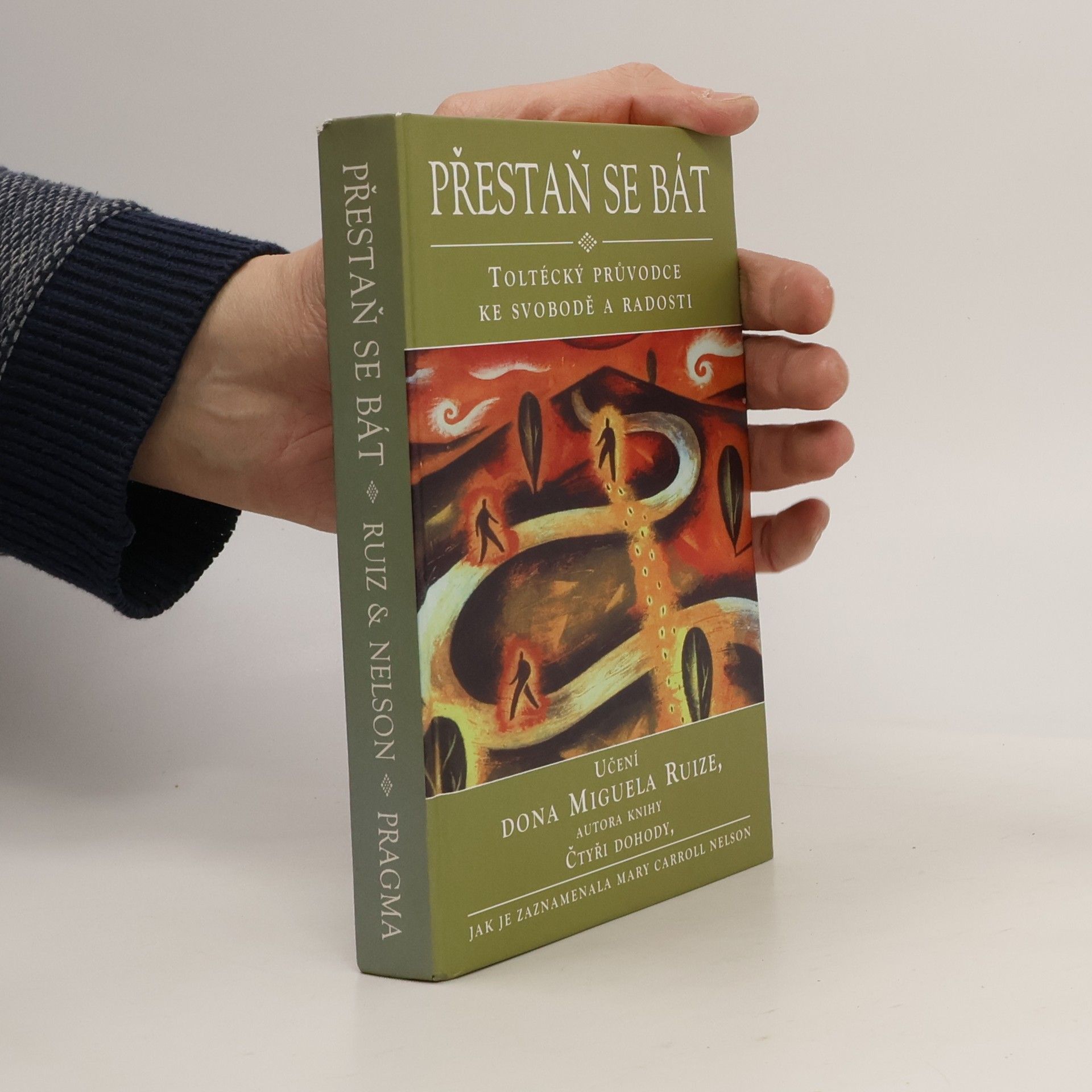 Mary Carroll Nelson Přestaň se bát
