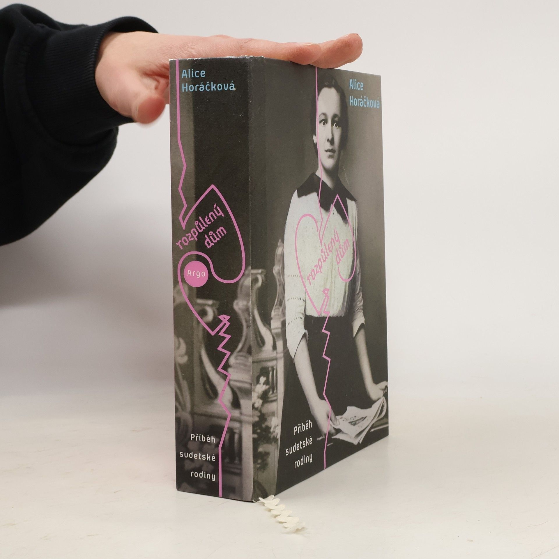 Alice Horáčková Rozpůlený dům