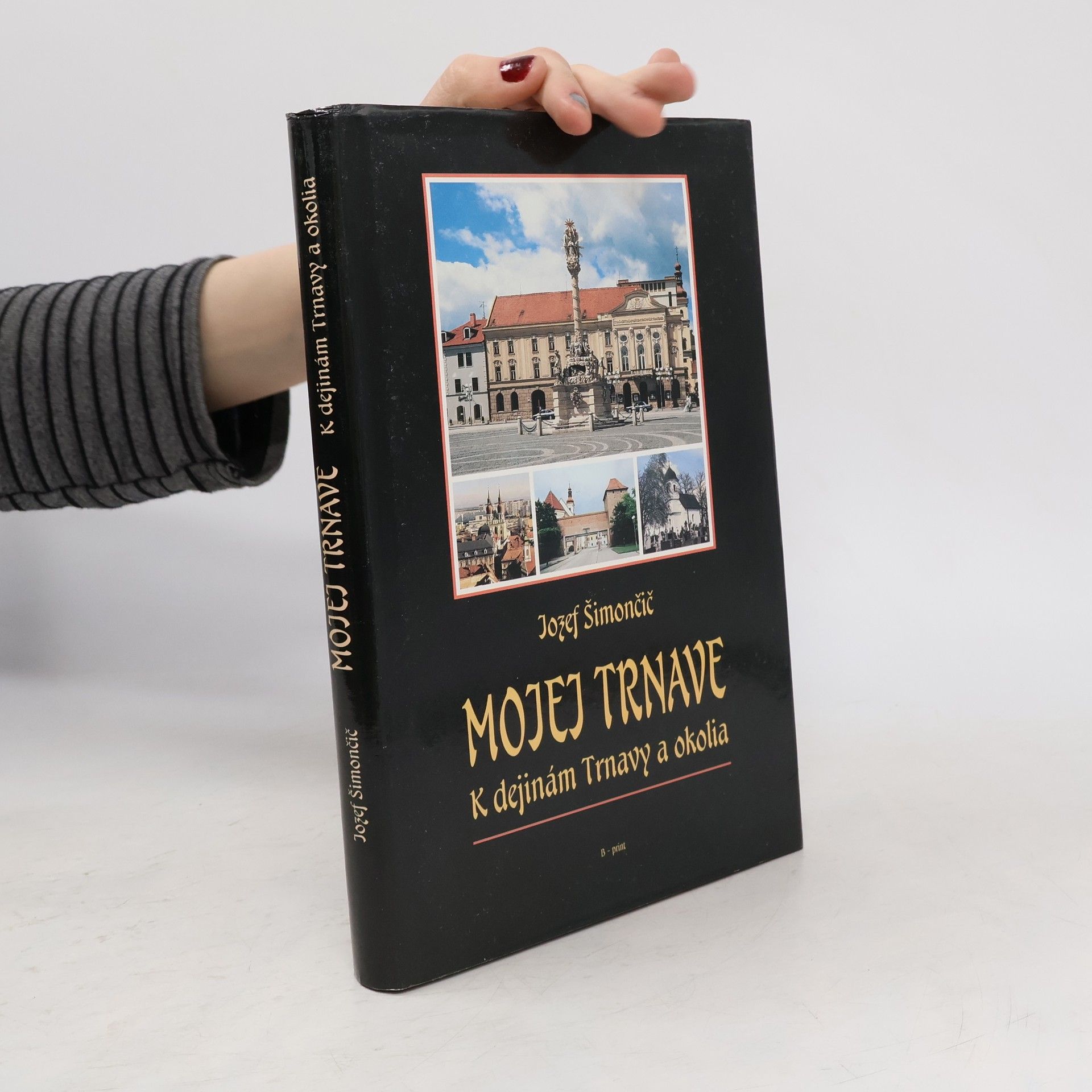 Mojej Trnave: K dejinám Trnavy a okolia