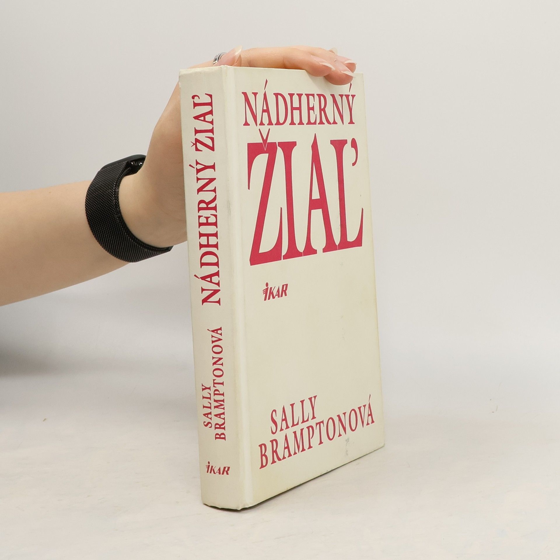 Sally Brampton Nádherný žiaľ