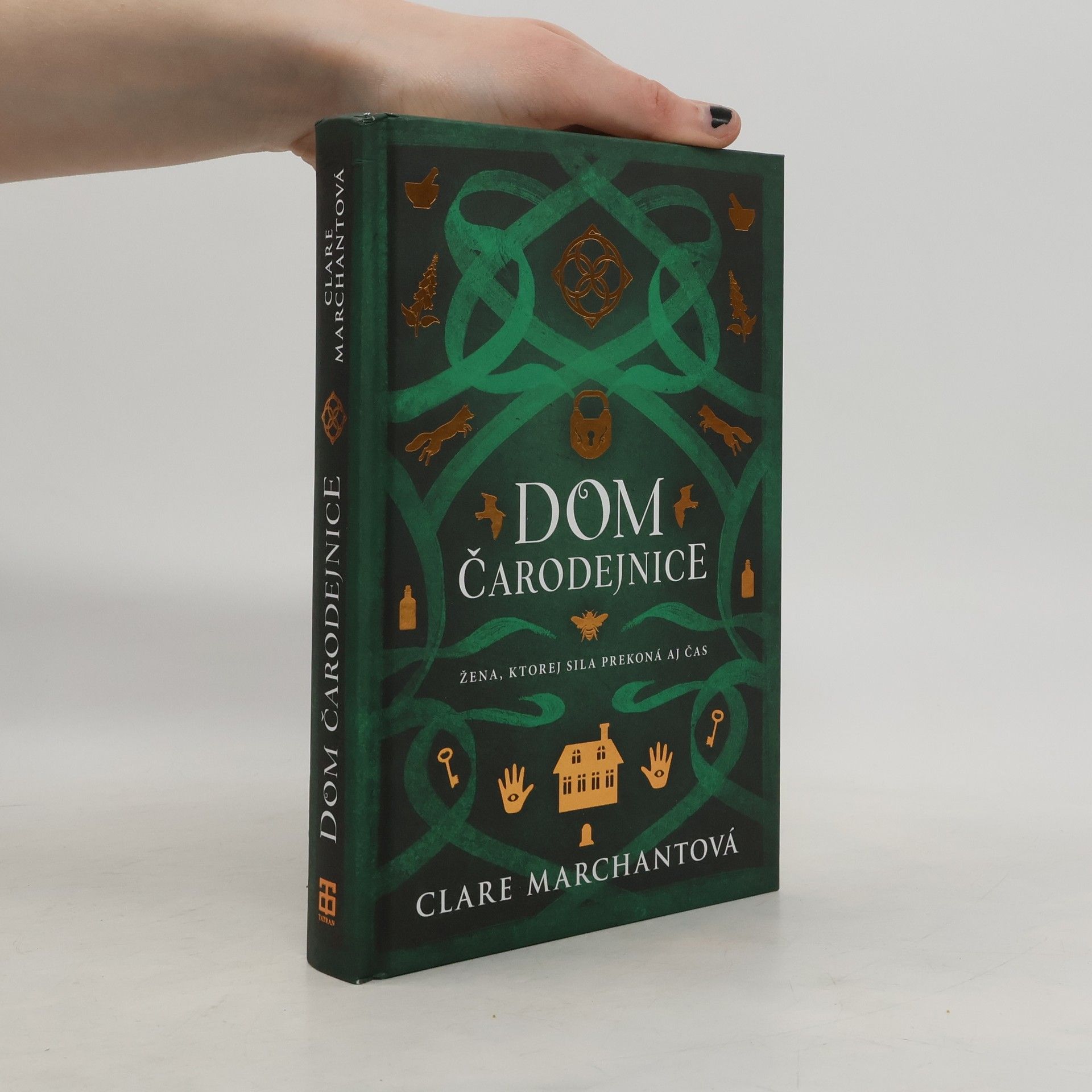 Clare Marchant Dom čarodejnice