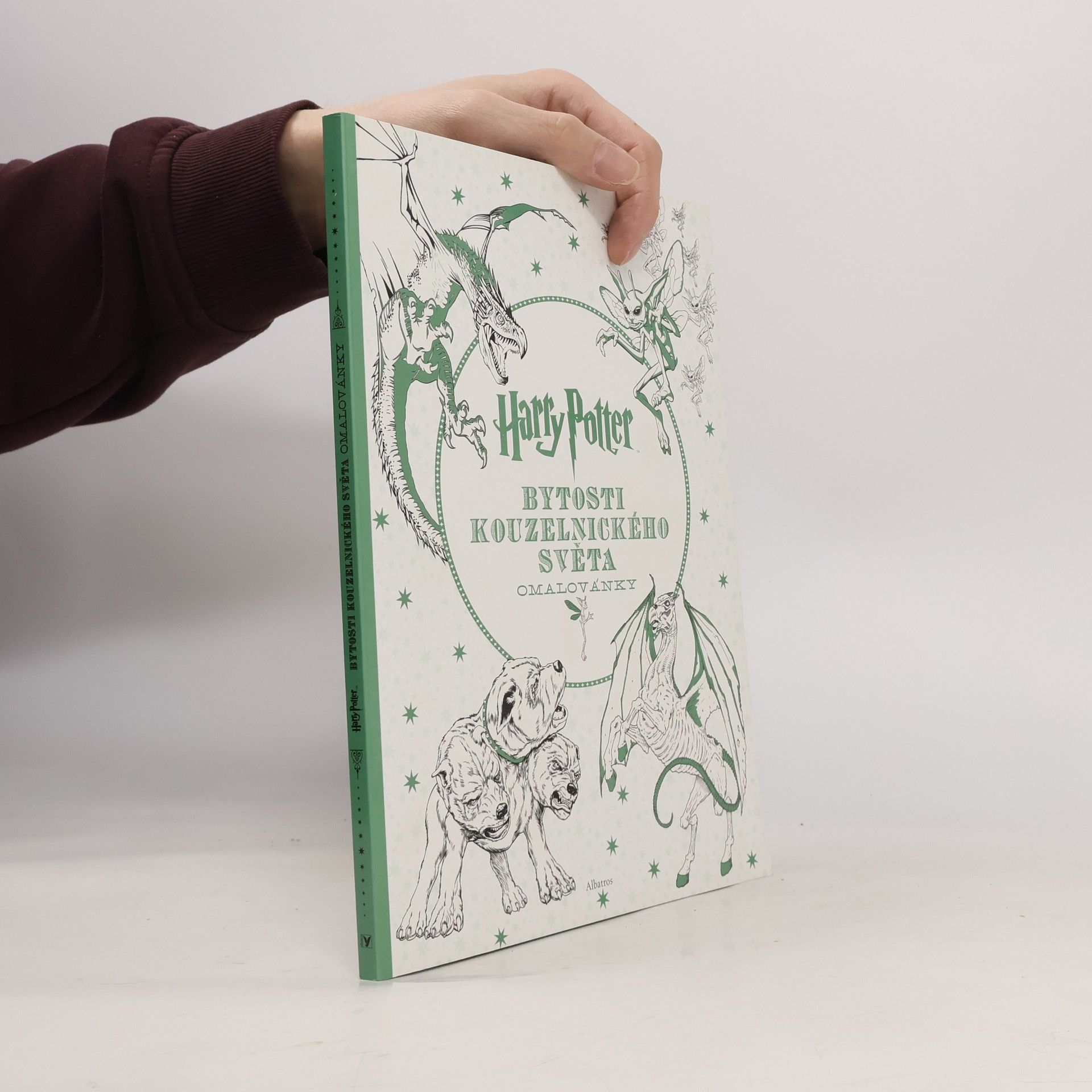 J. K. Rowling Harry Potter: Bytosti kouzelnického světa