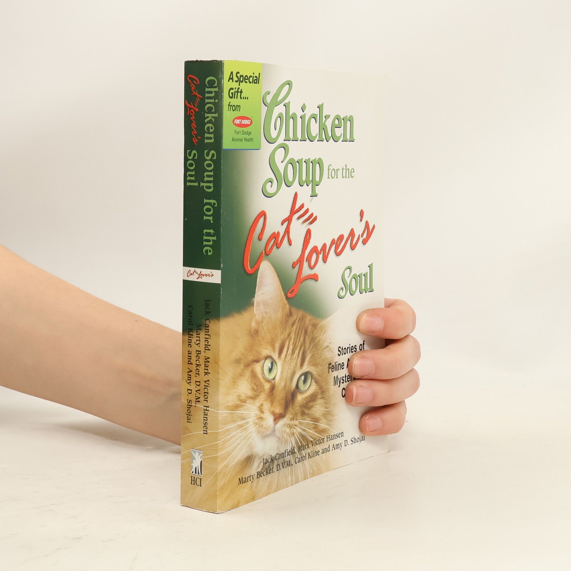Chicken Soup for the Cat Lover's Soul