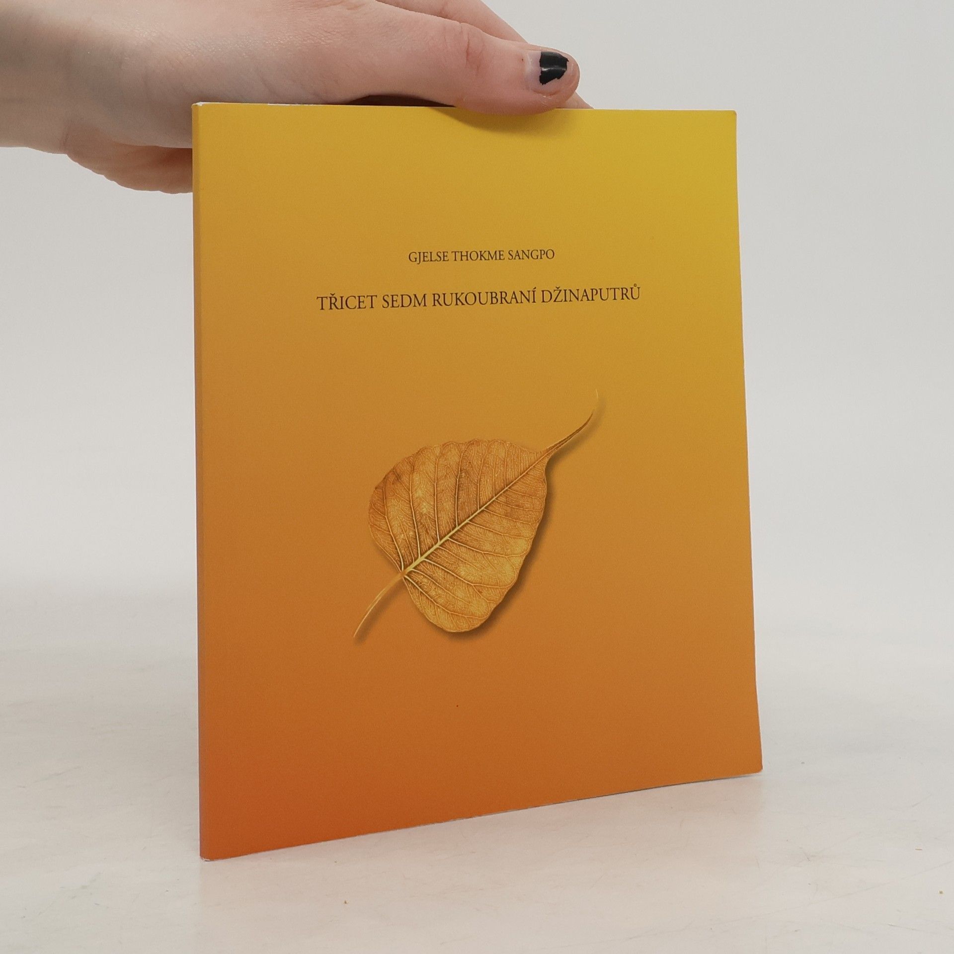 Gjelse Thokme Sangpo Třicet sedm rukoubraní Džinaputrů