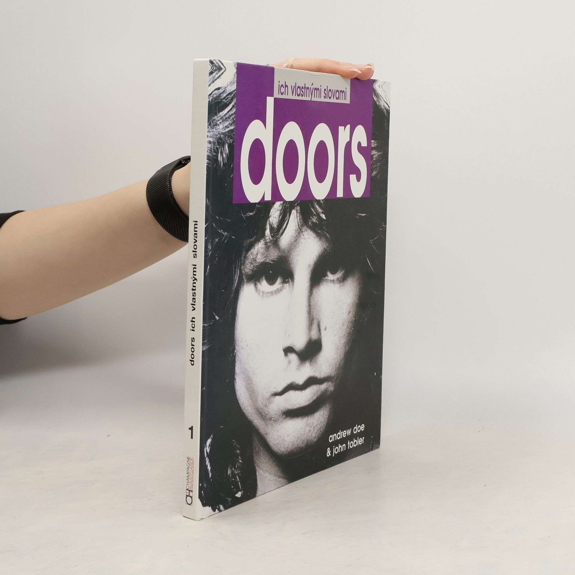 Doors ich vlastnými slovami