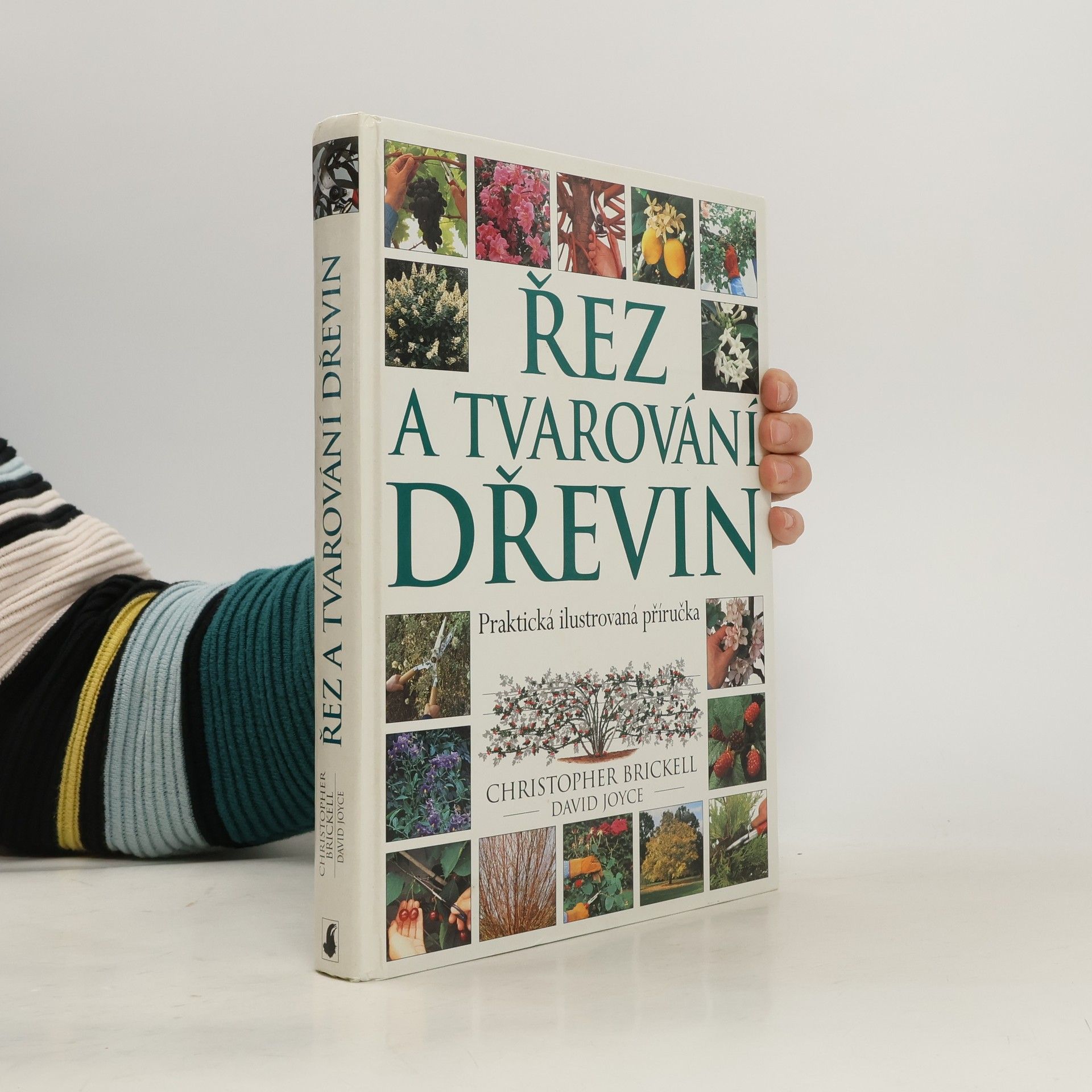 Řez a tvarování dřevin